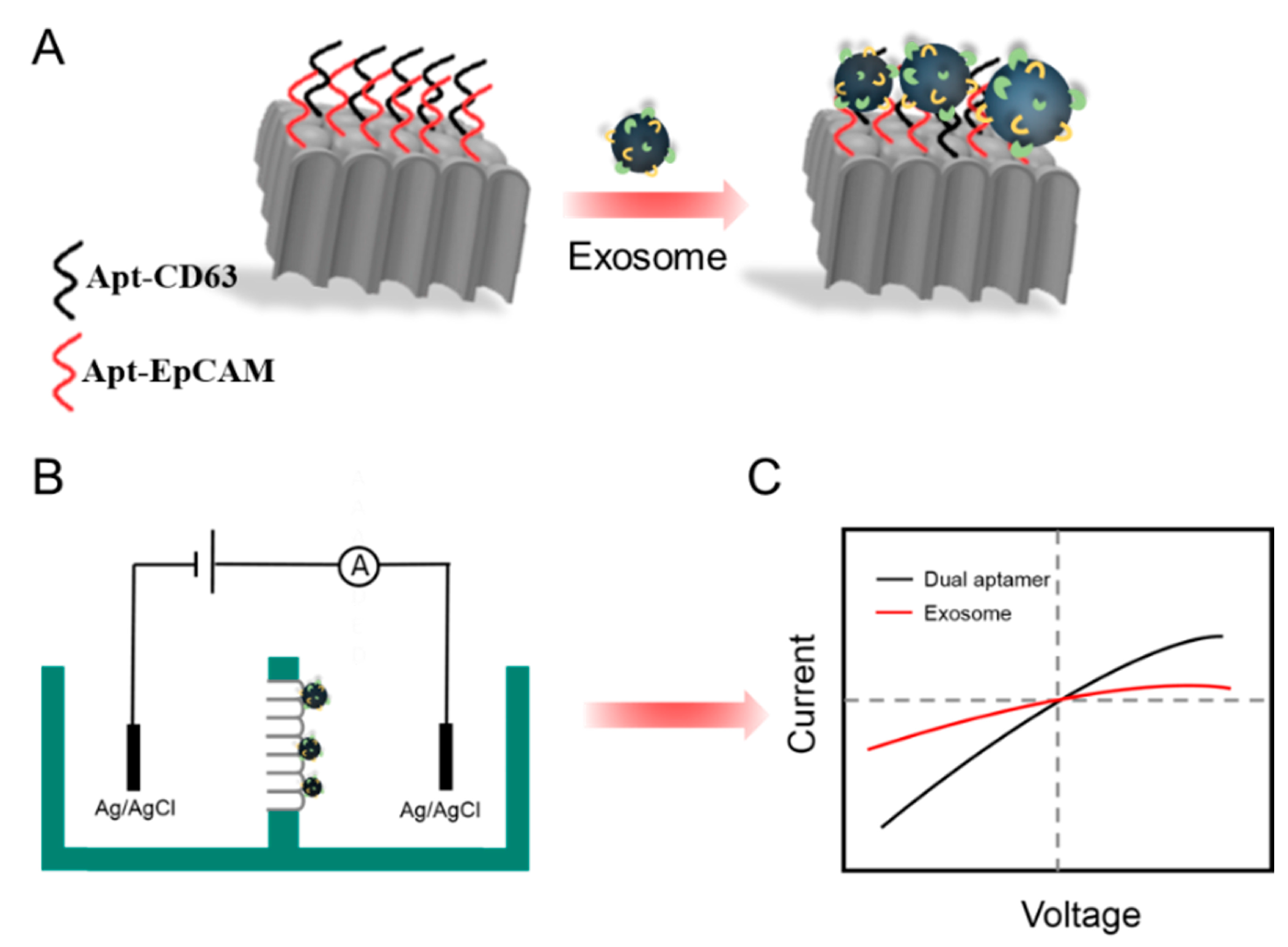 Sensors 23 09139 sch001