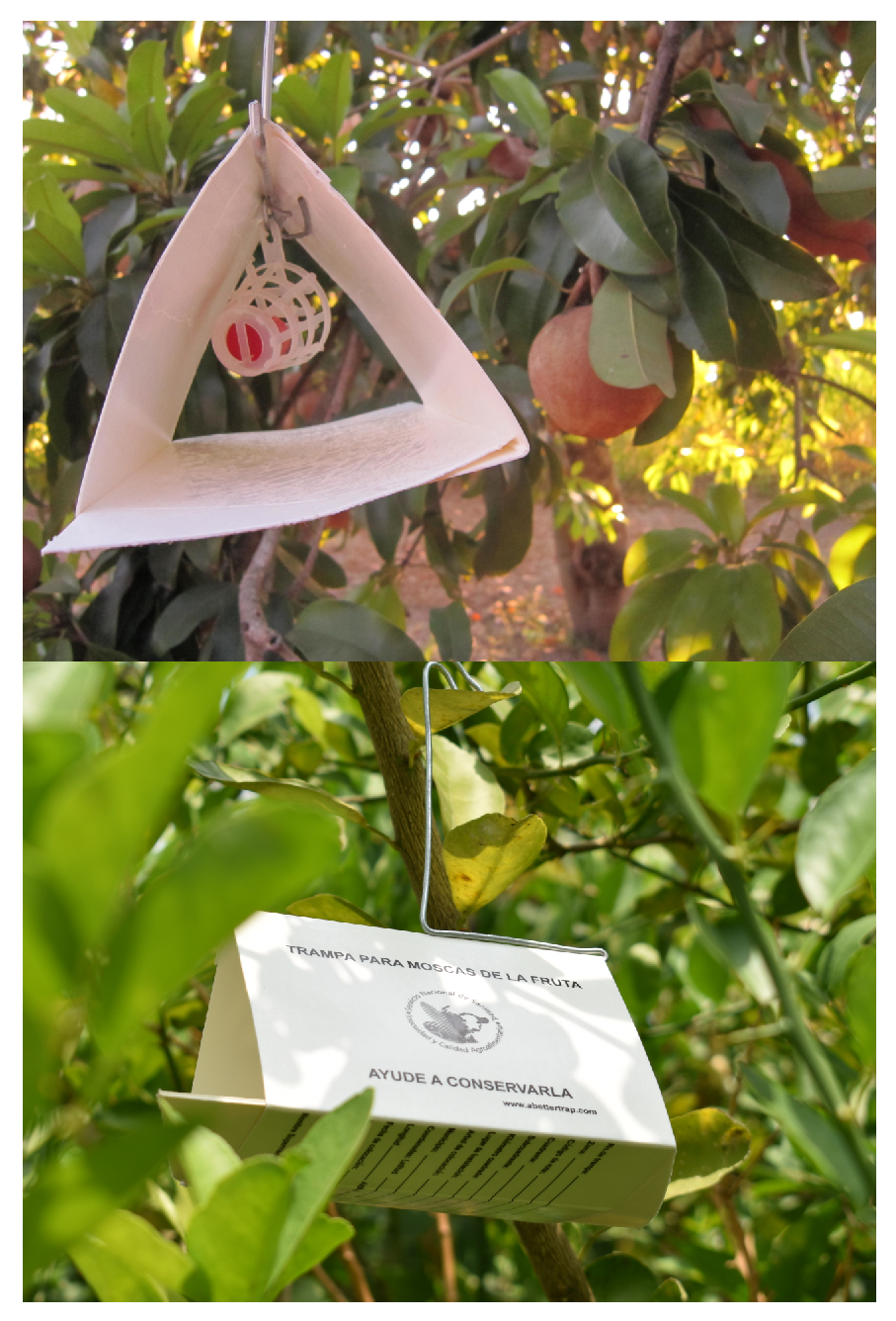 Sensors 23 09169 g006