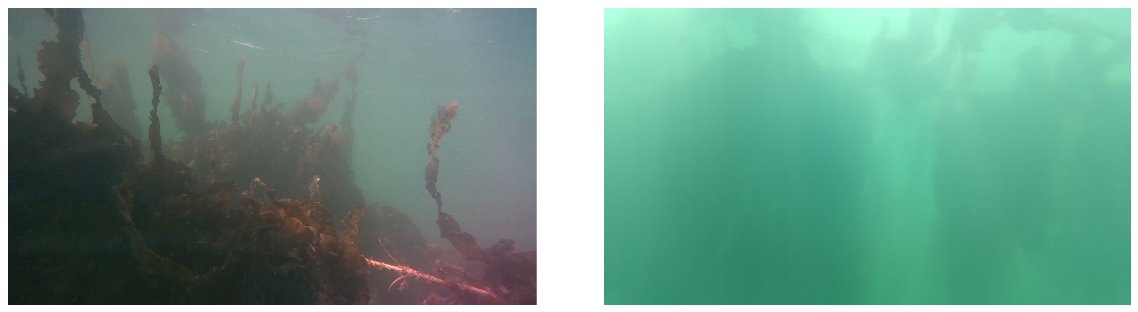 Sensors 23 09197 g005