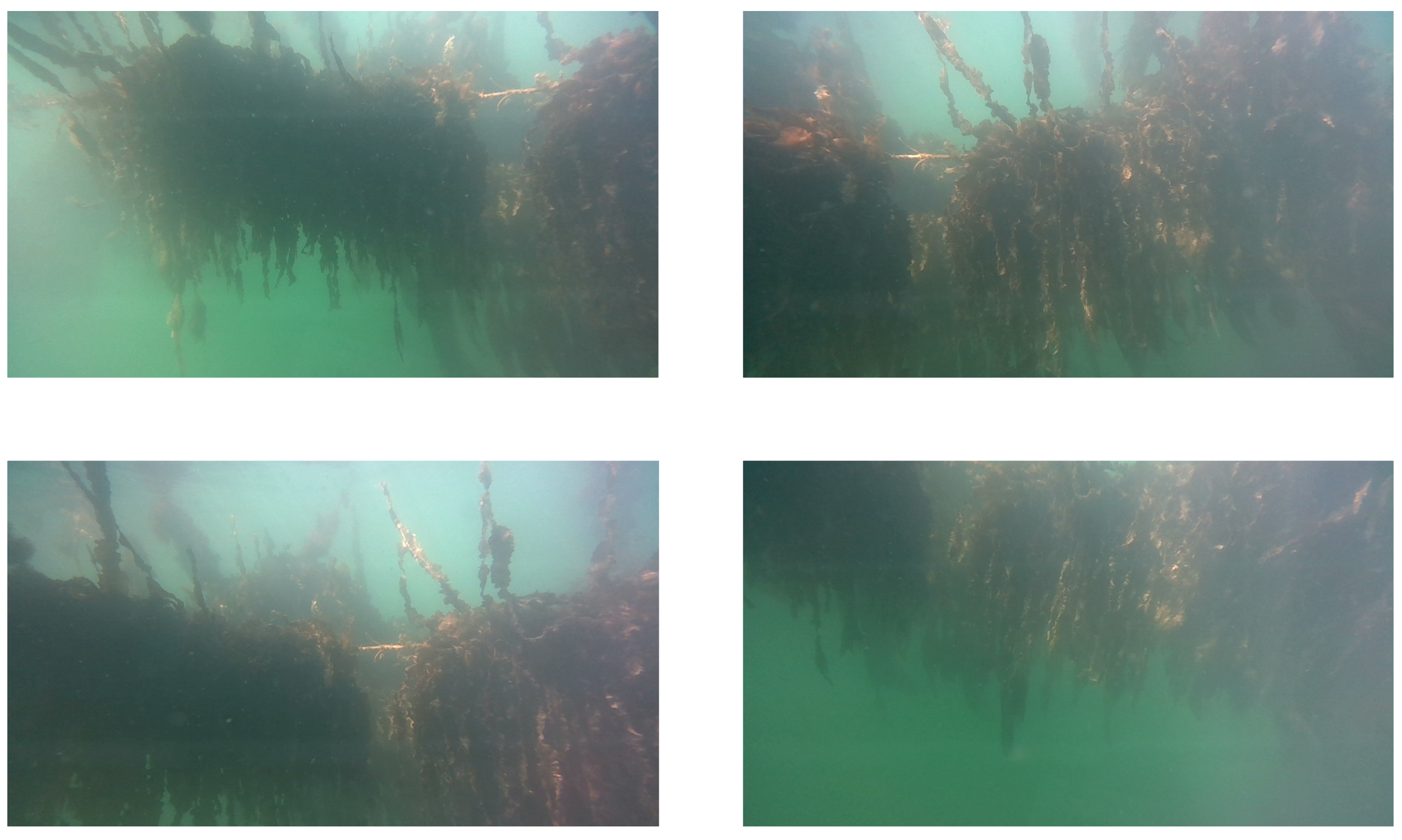 Sensors 23 09197 g006