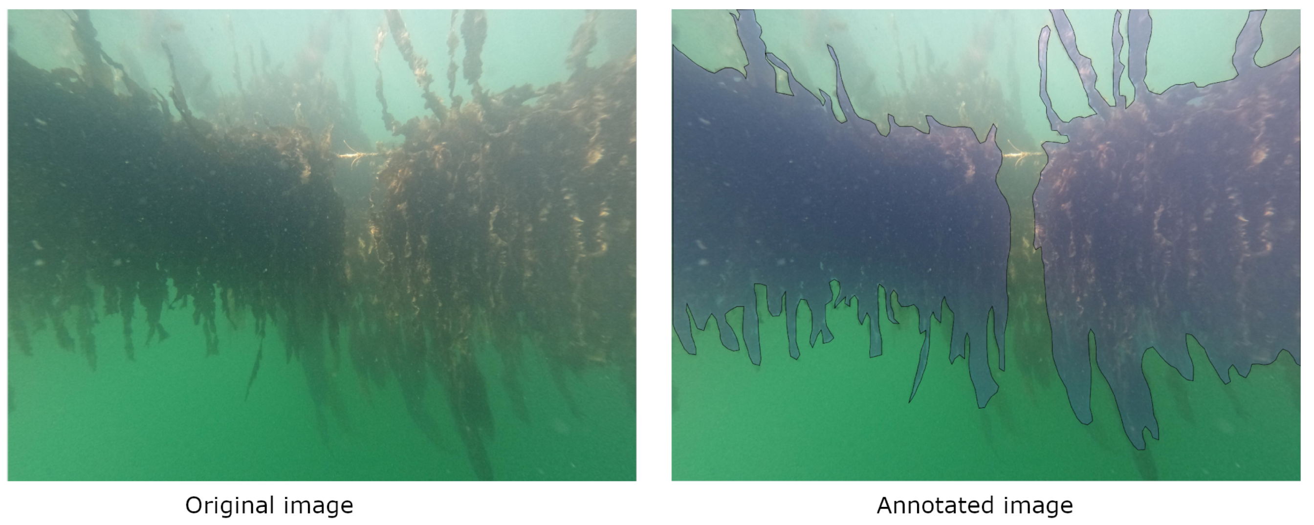 Sensors 23 09197 g007