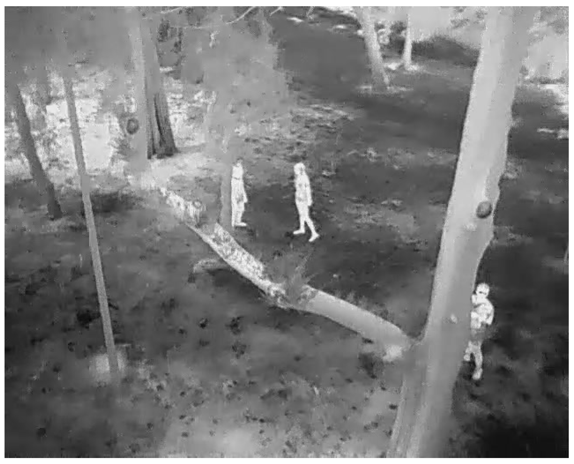 Sensors 23 09216 g001