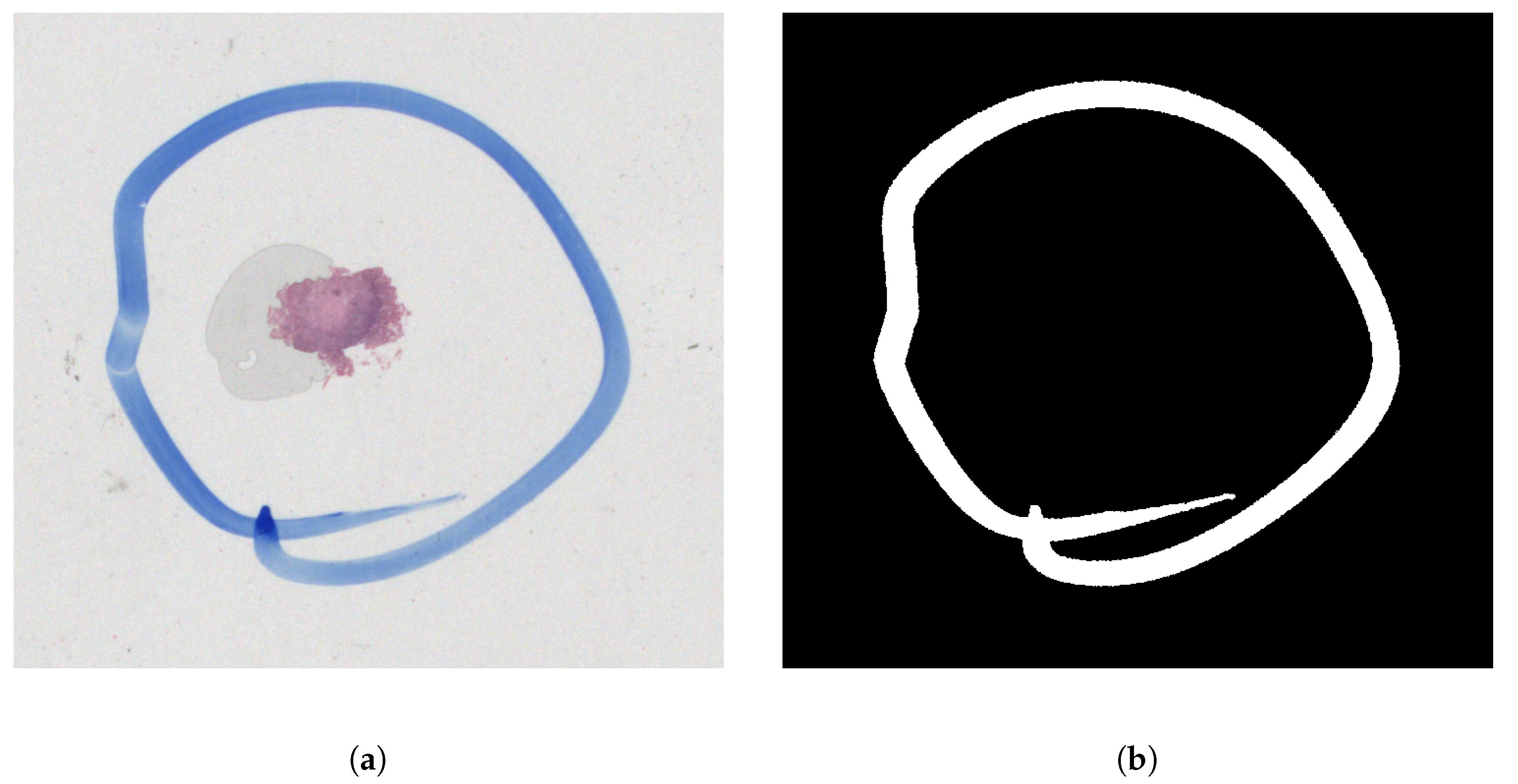 Sensors 23 09243 g005
