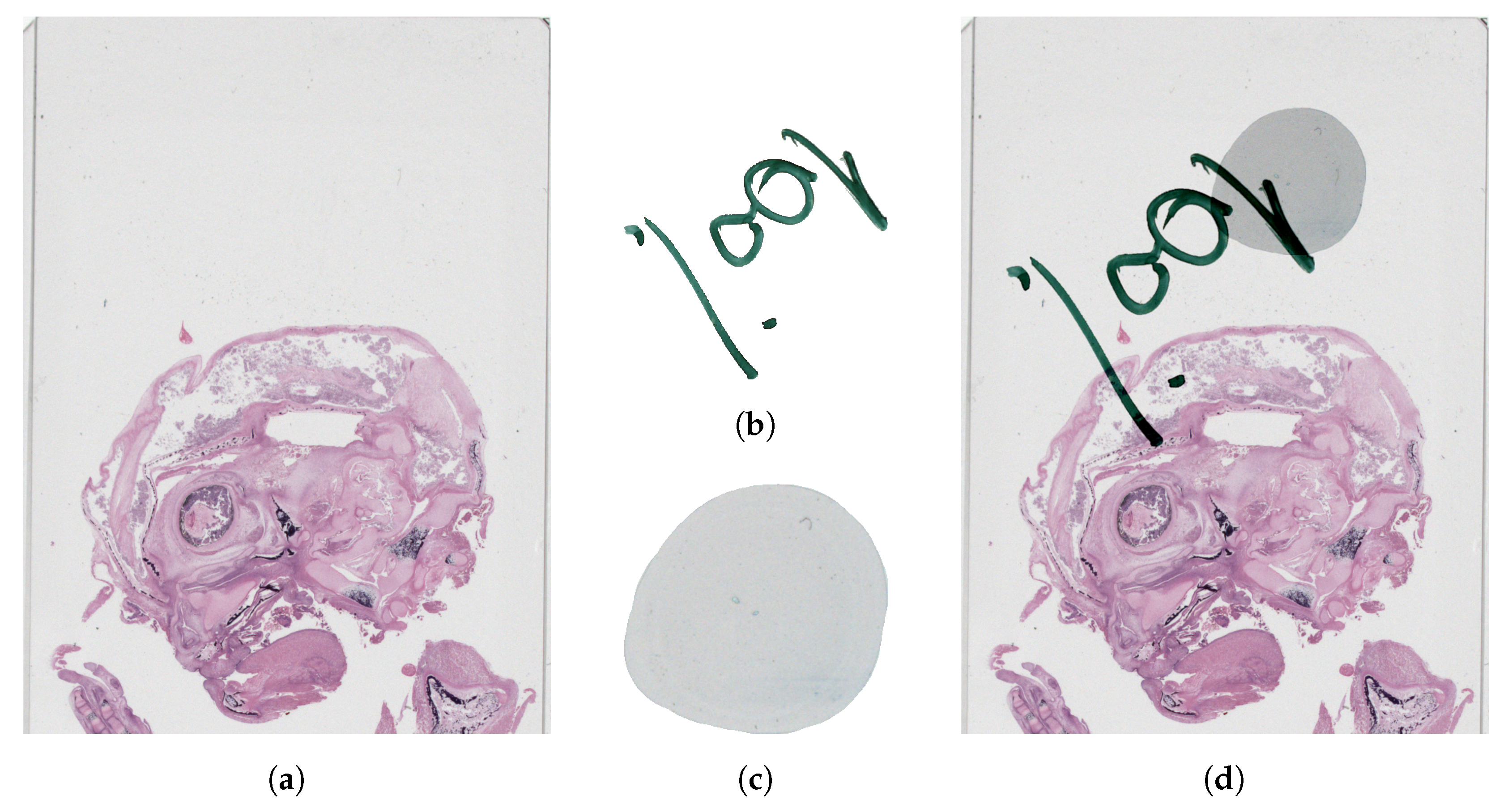 Sensors 23 09243 g007