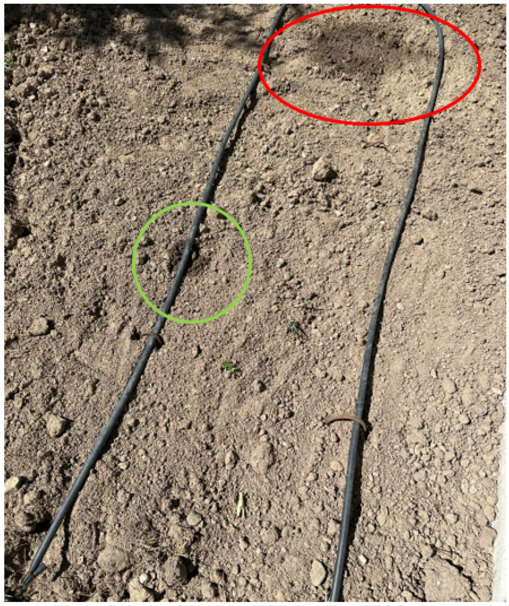 Sensors 23 09244 g010