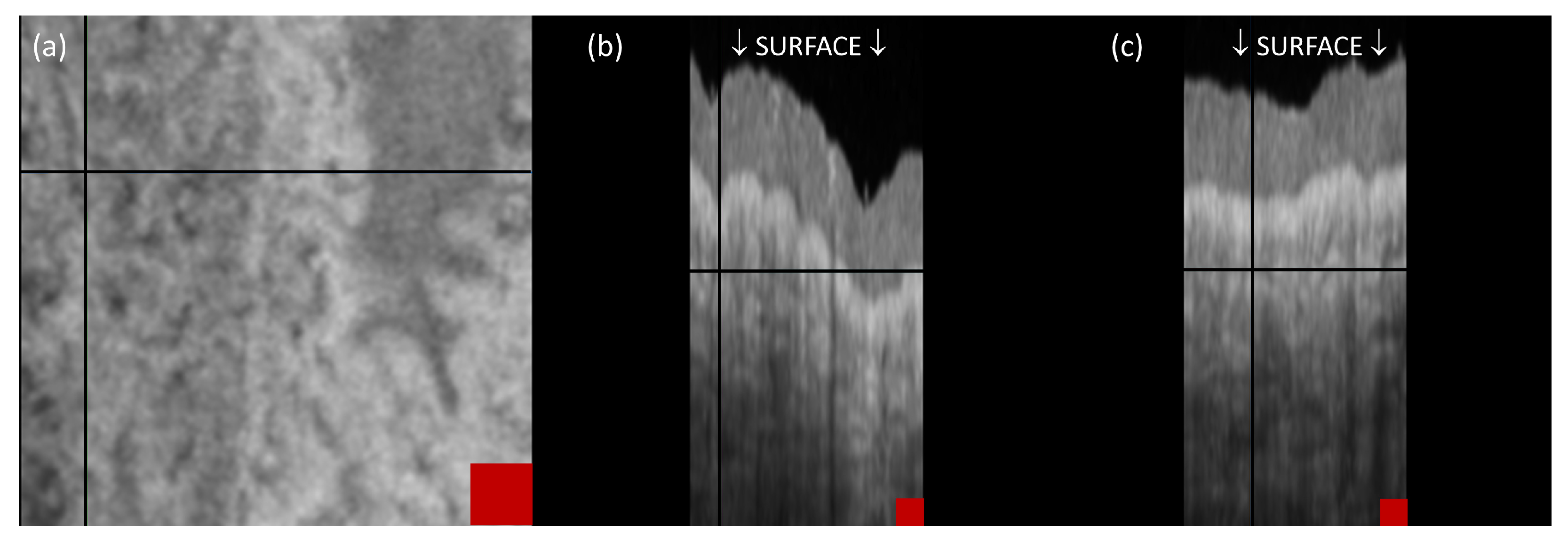 Sensors 23 09312 g002