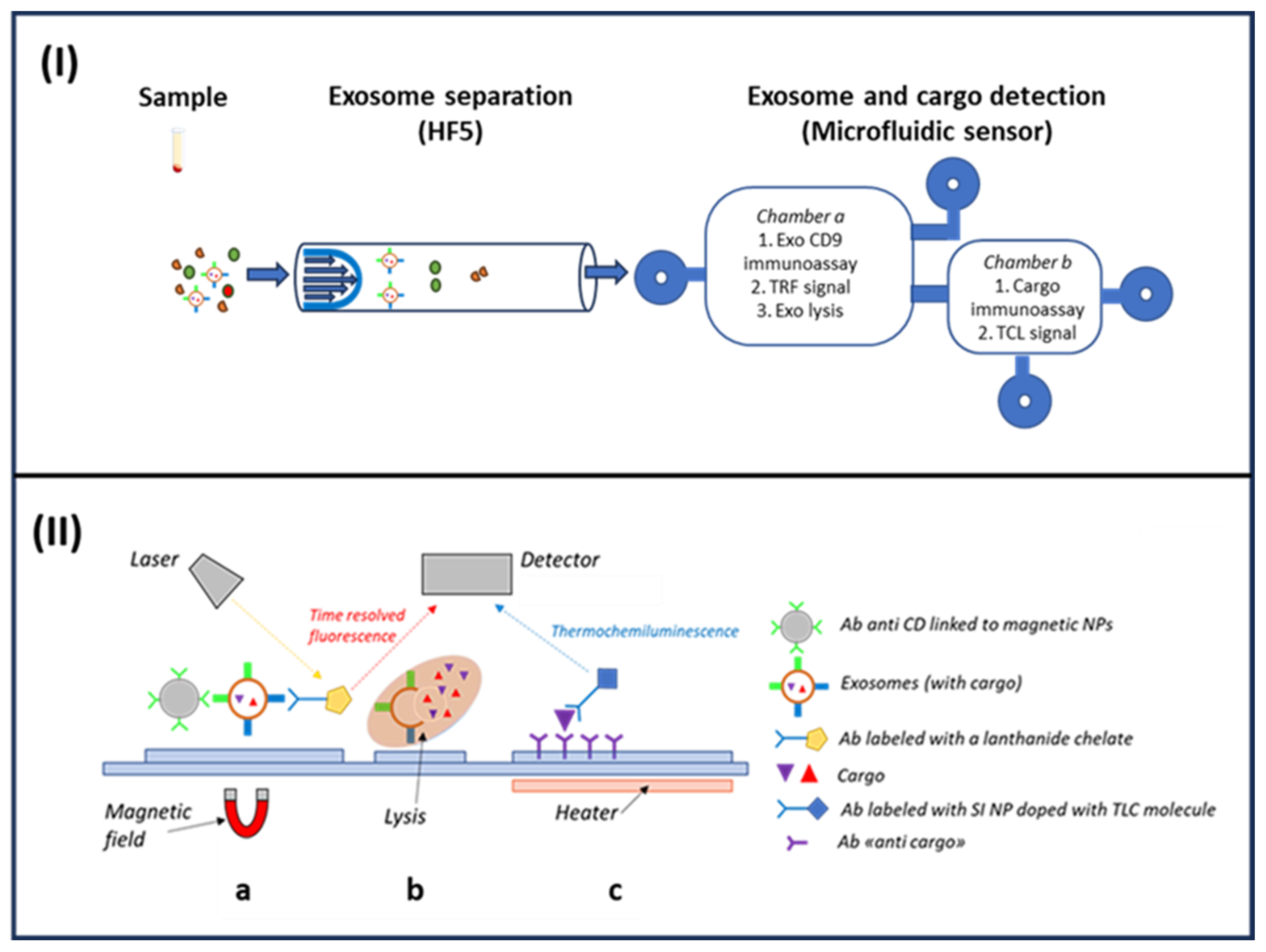 Sensors 23 09432 g008