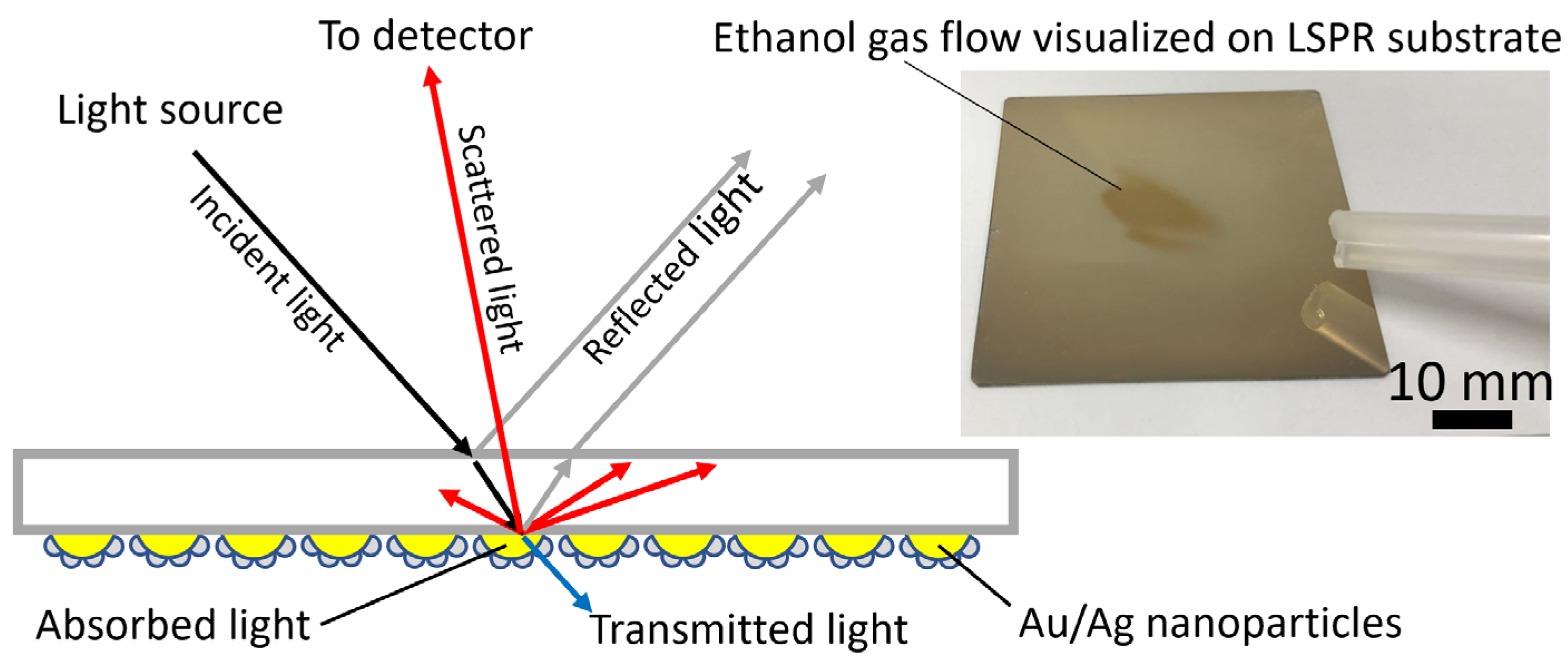 Sensors 23 09525 g002