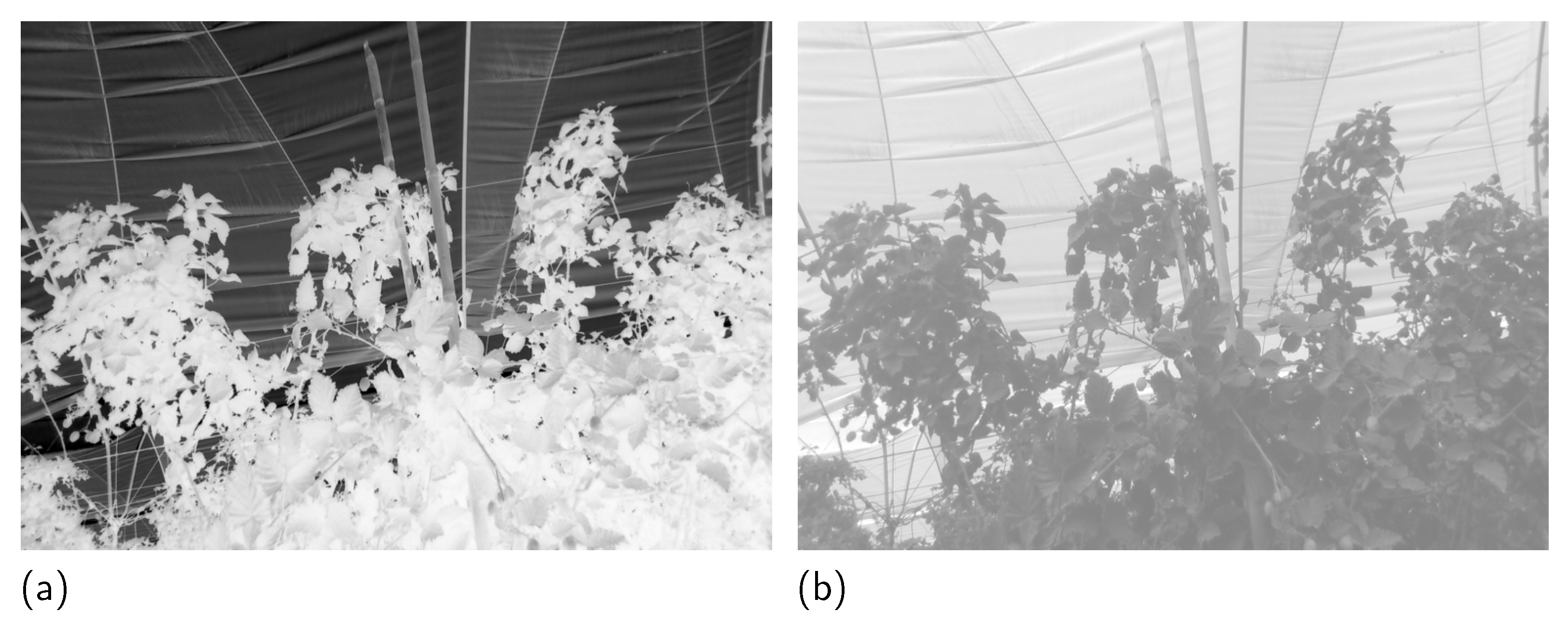 Sensors 23 09543 g003
