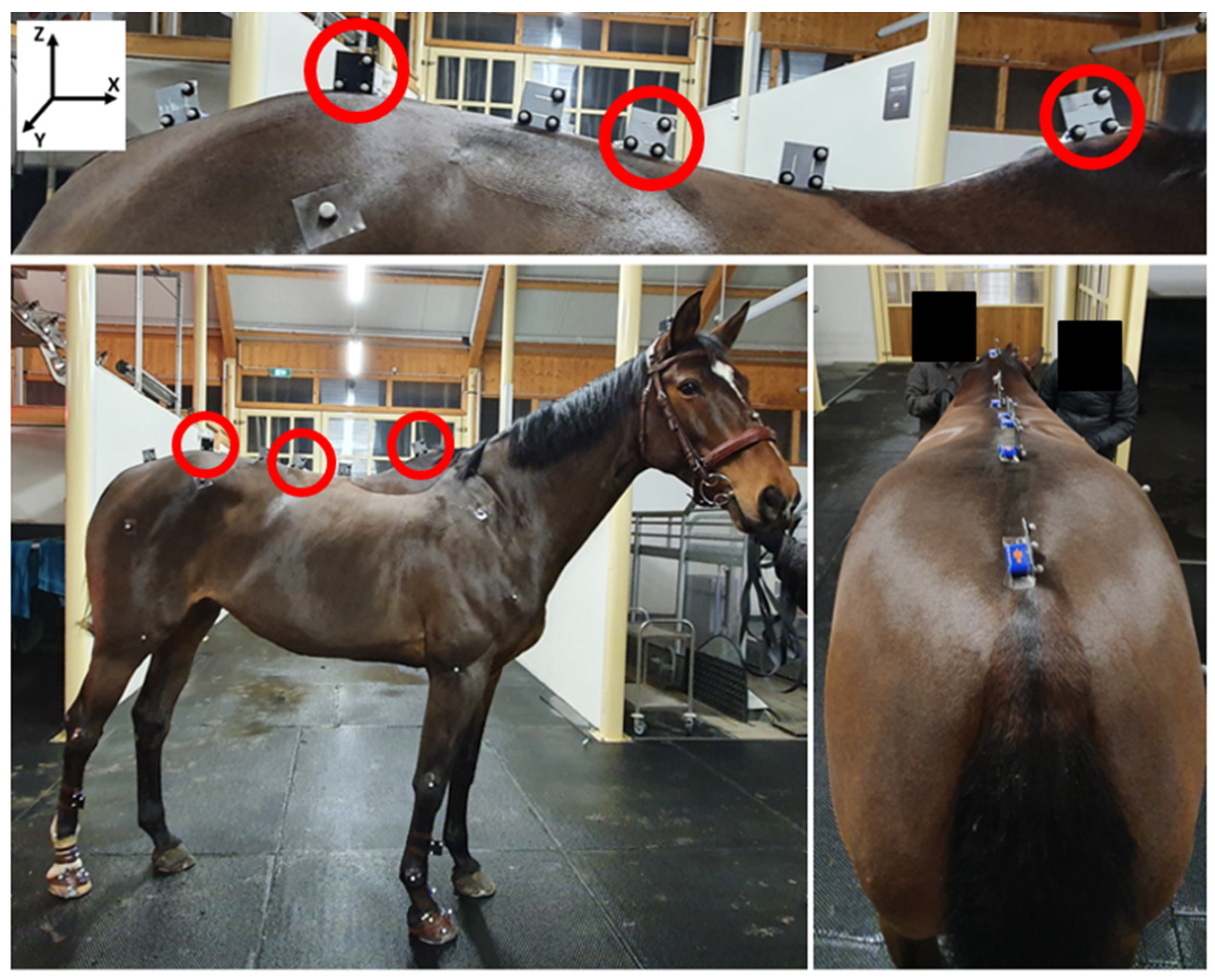 Sensors 23 09625 g001