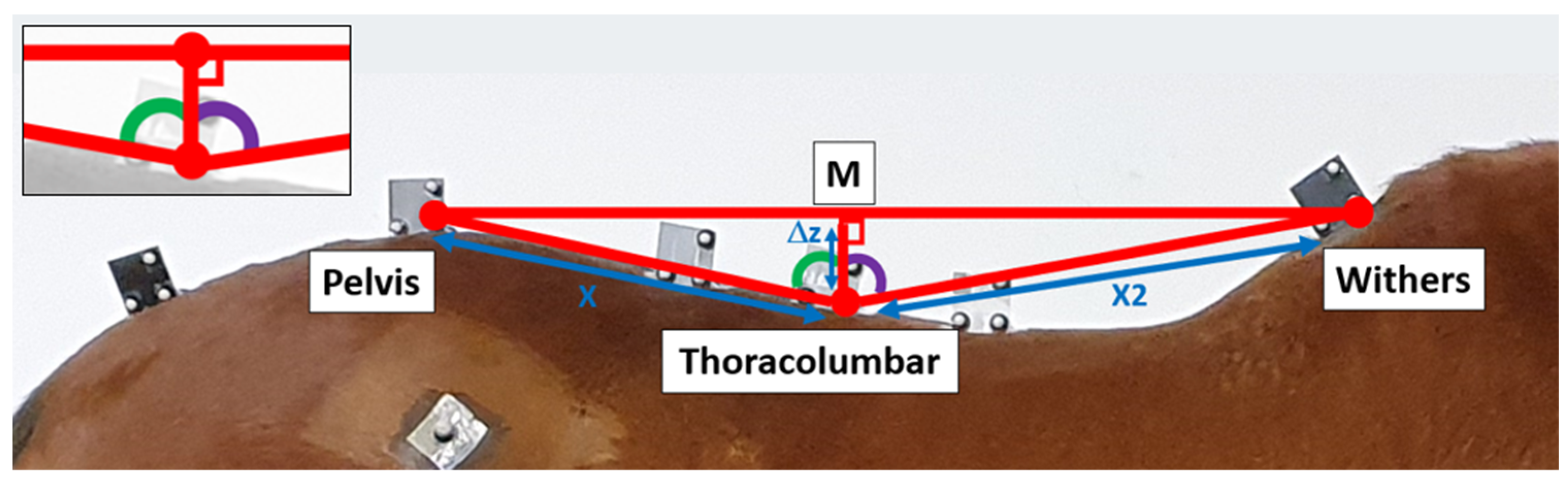 Sensors 23 09625 g003