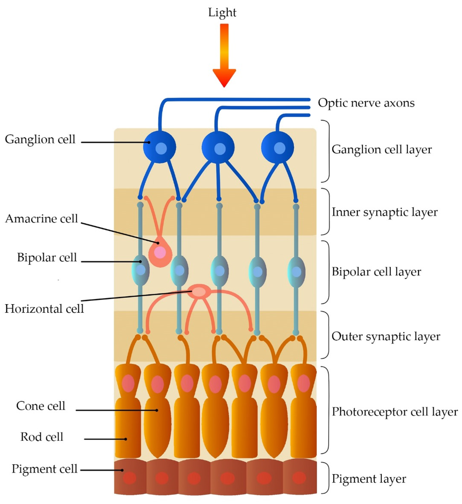 Sensors 23 09646 g002
