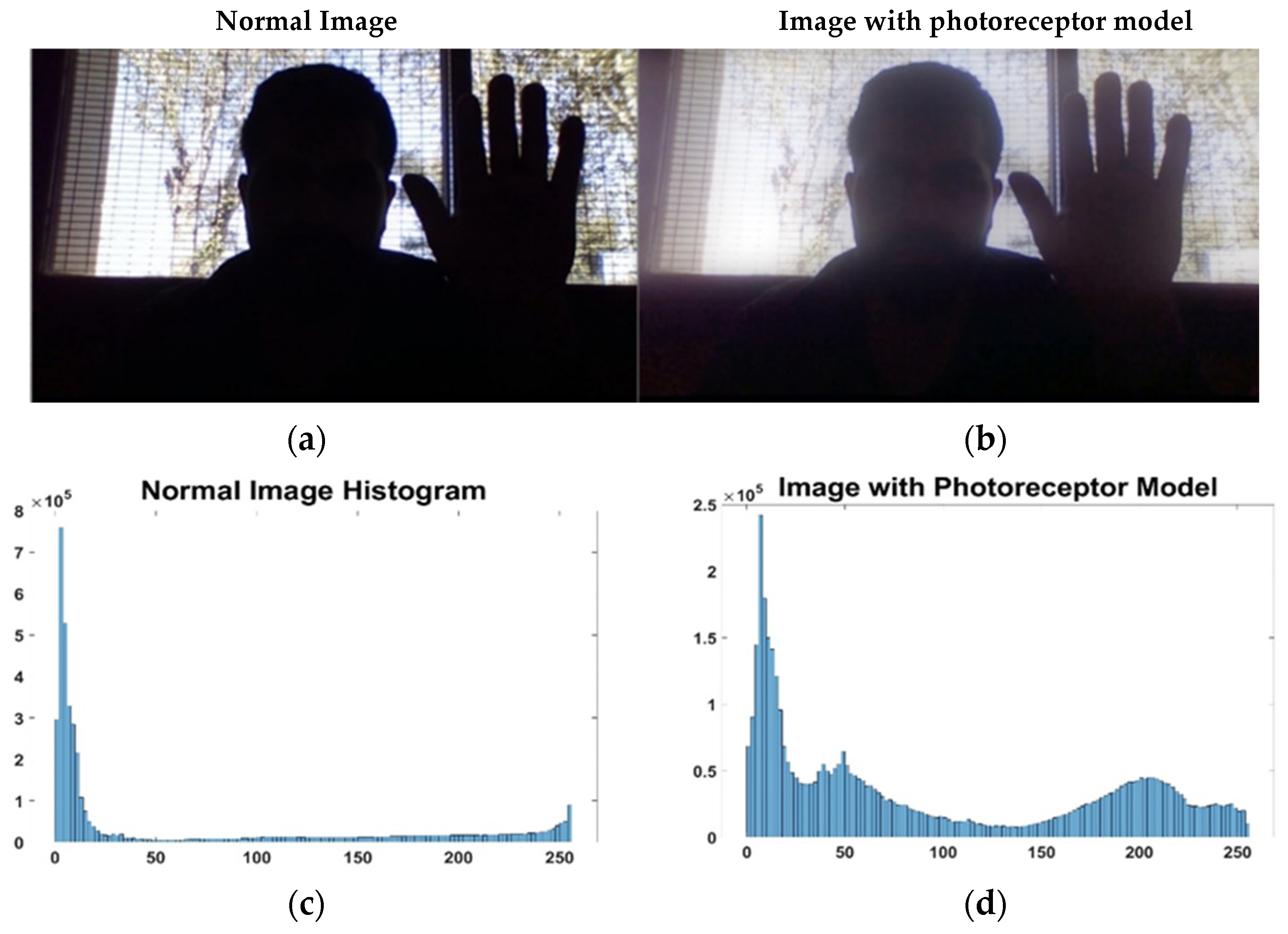 Sensors 23 09646 g006