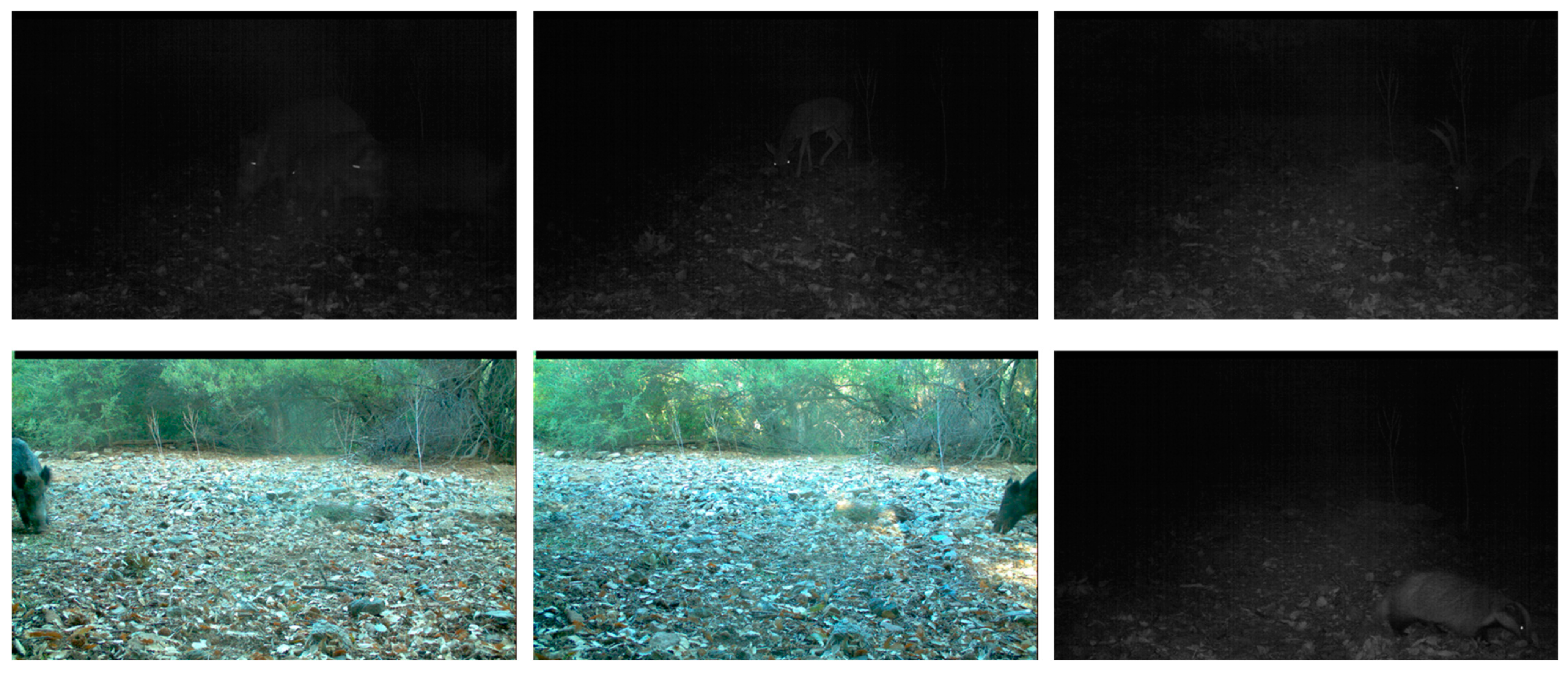 Sensors 23 09669 g002