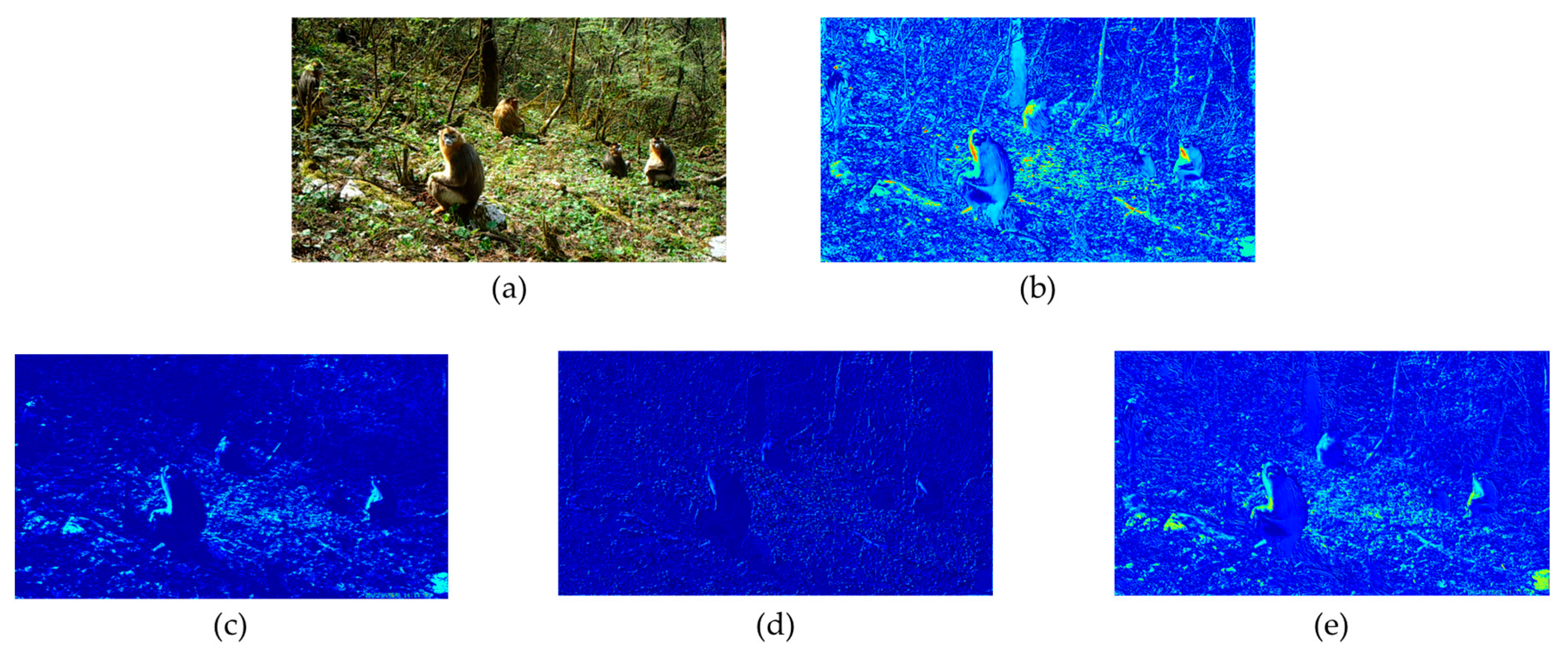 Sensors 23 09669 g005