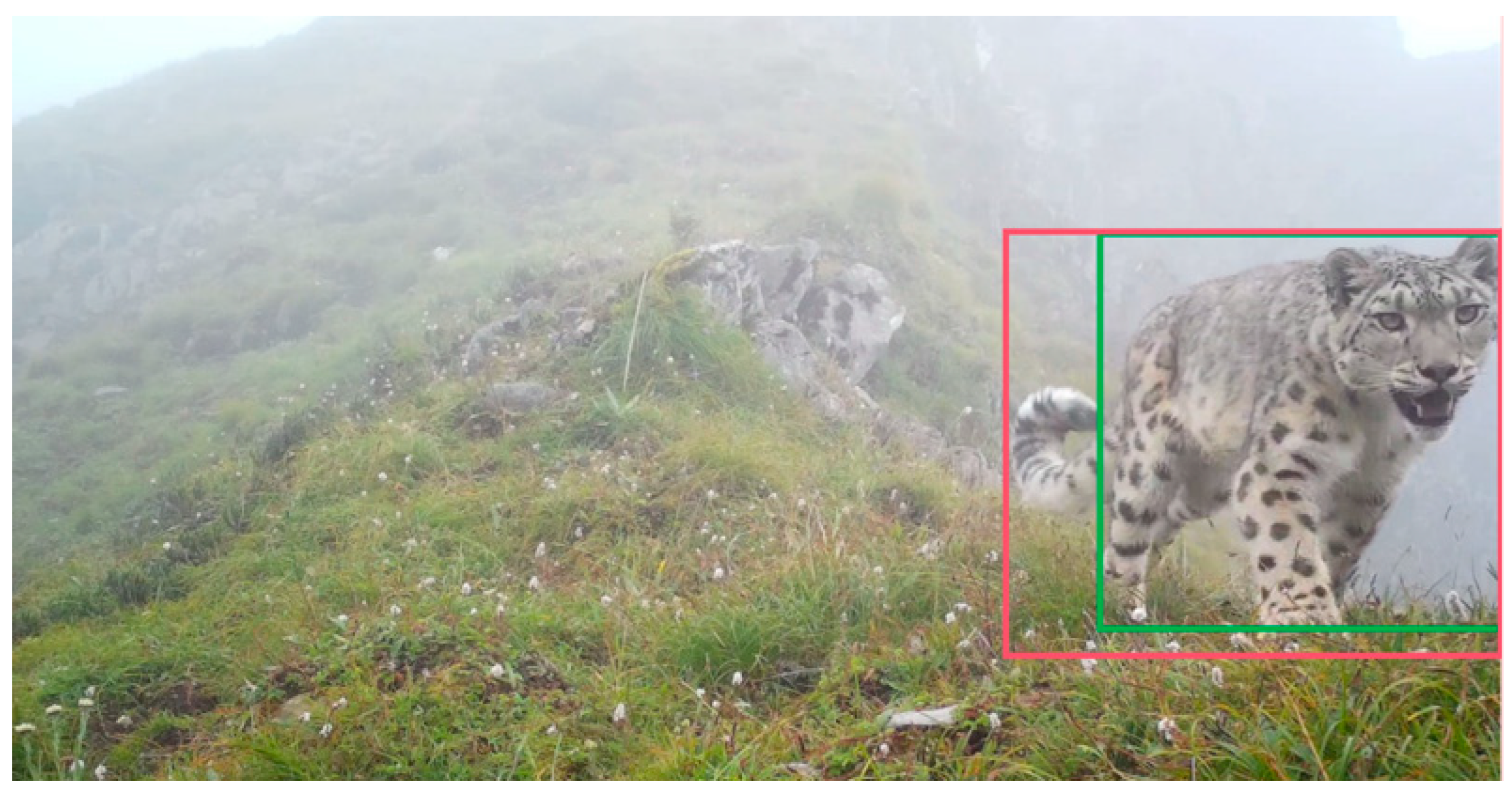 Sensors 23 09669 g010