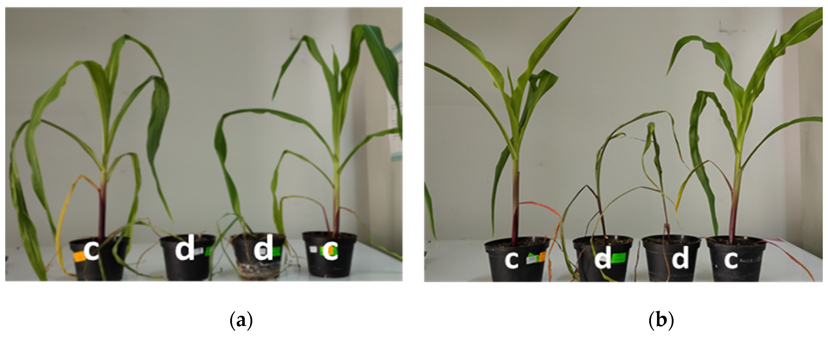 Sensors 23 09678 g003