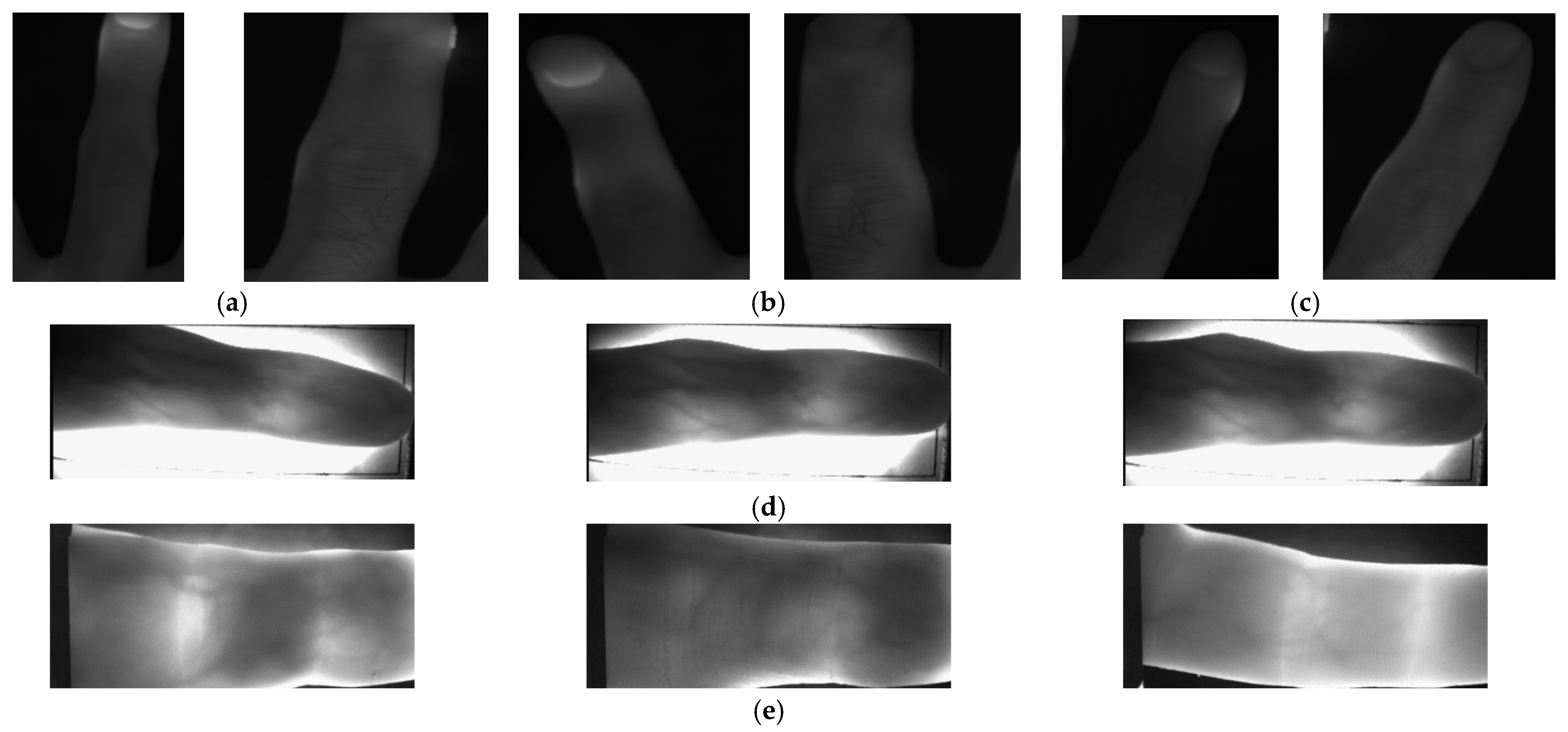 Sensors 23 09706 g002