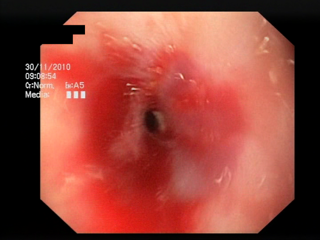 Sensors 23 09717 i003