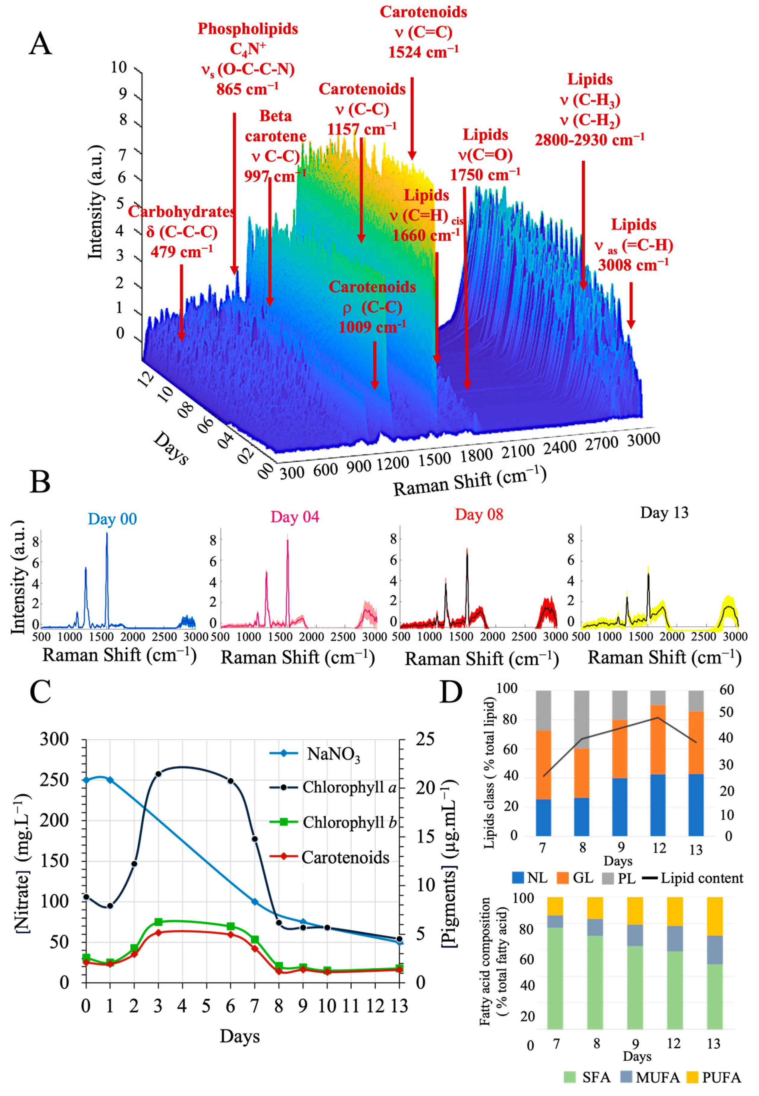 Sensors 23 09746 g004