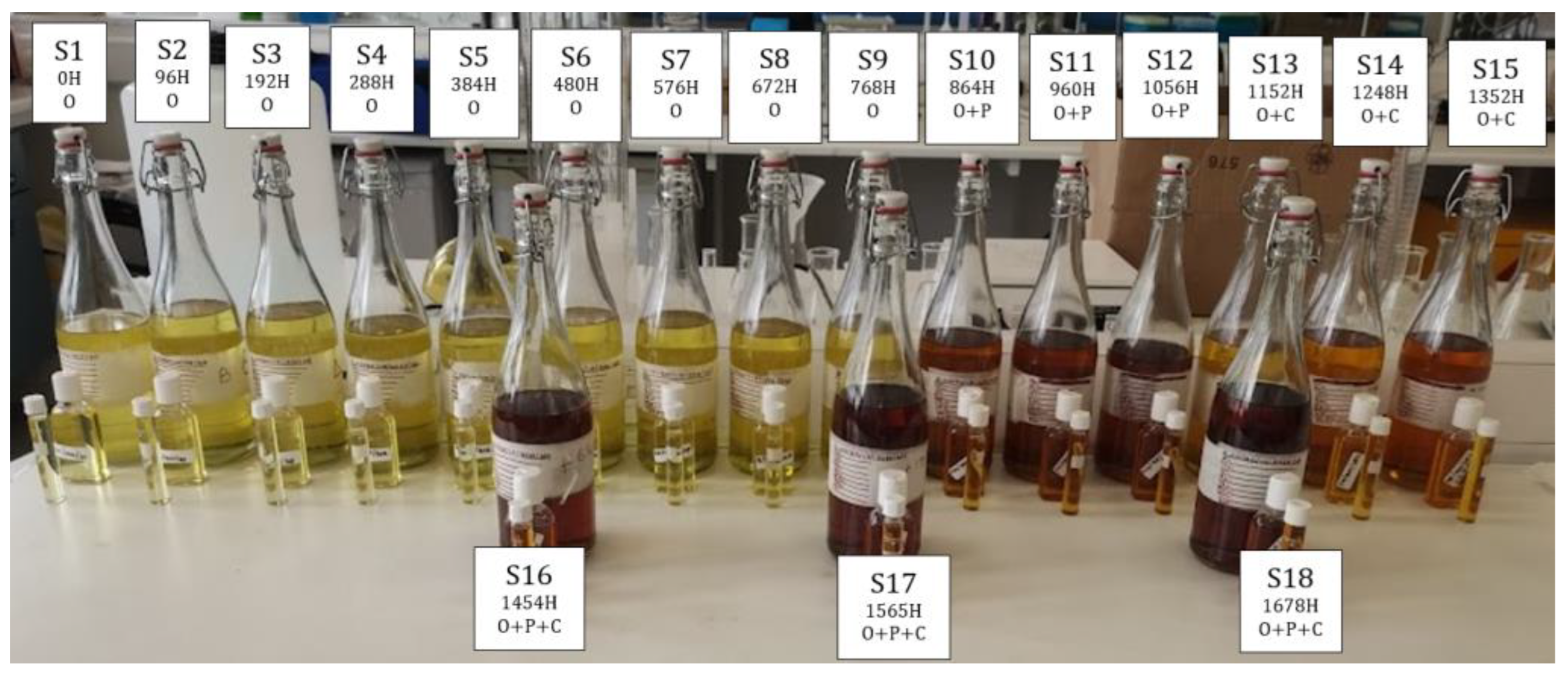 Sensors 23 09796 g001