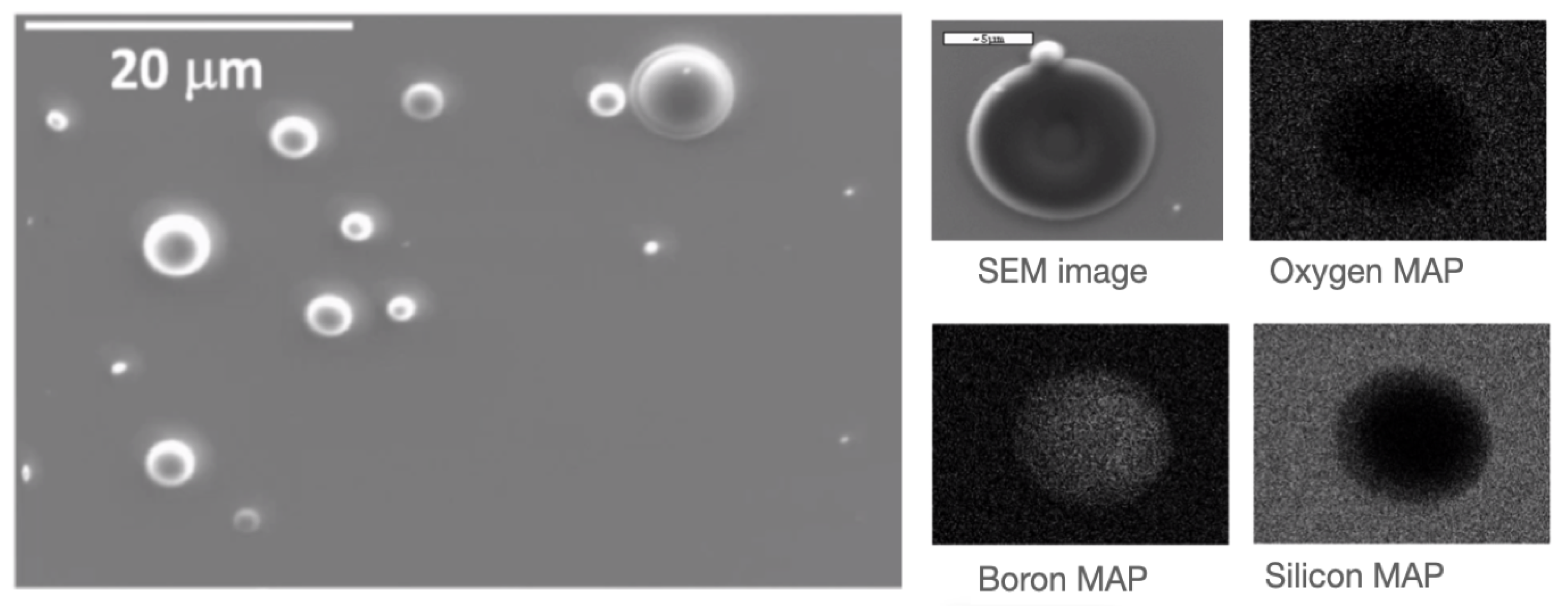 Sensors 23 09831 g005