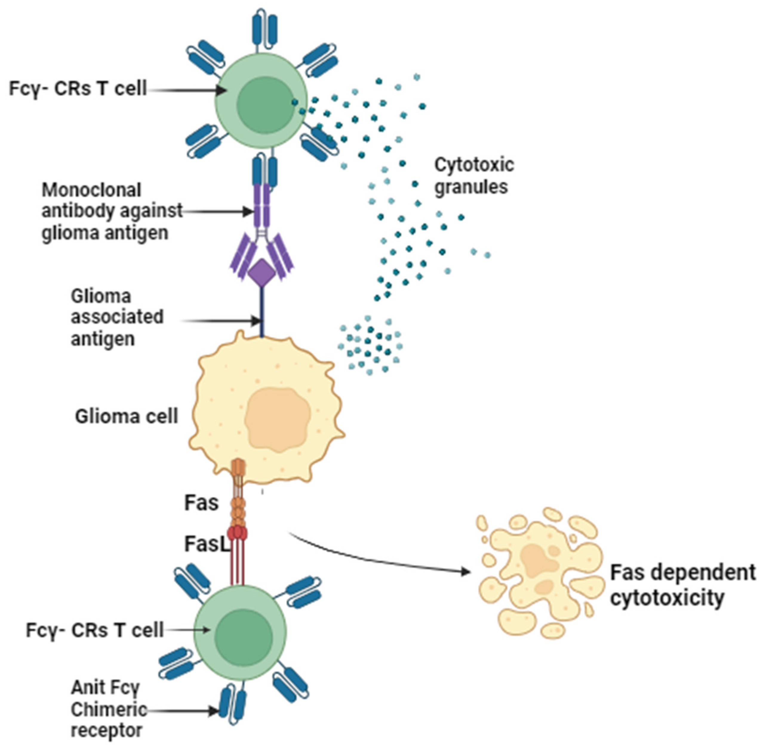 Sensors 23 09842 g005