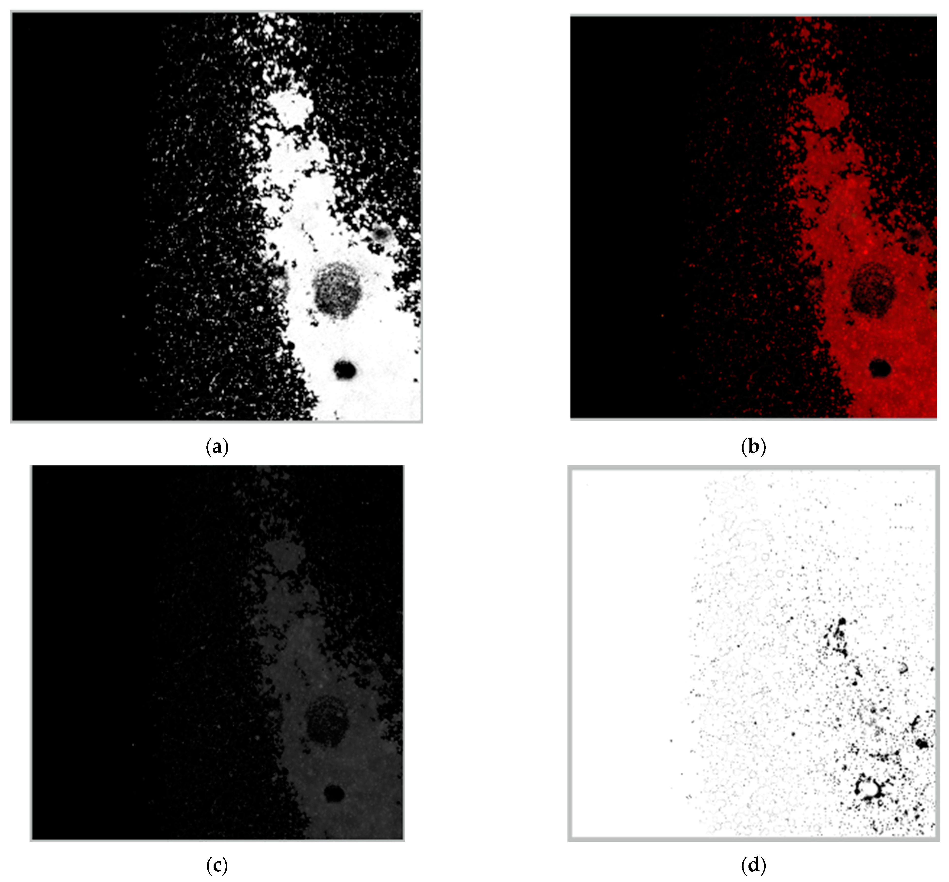 Sensors 23 09900 g007