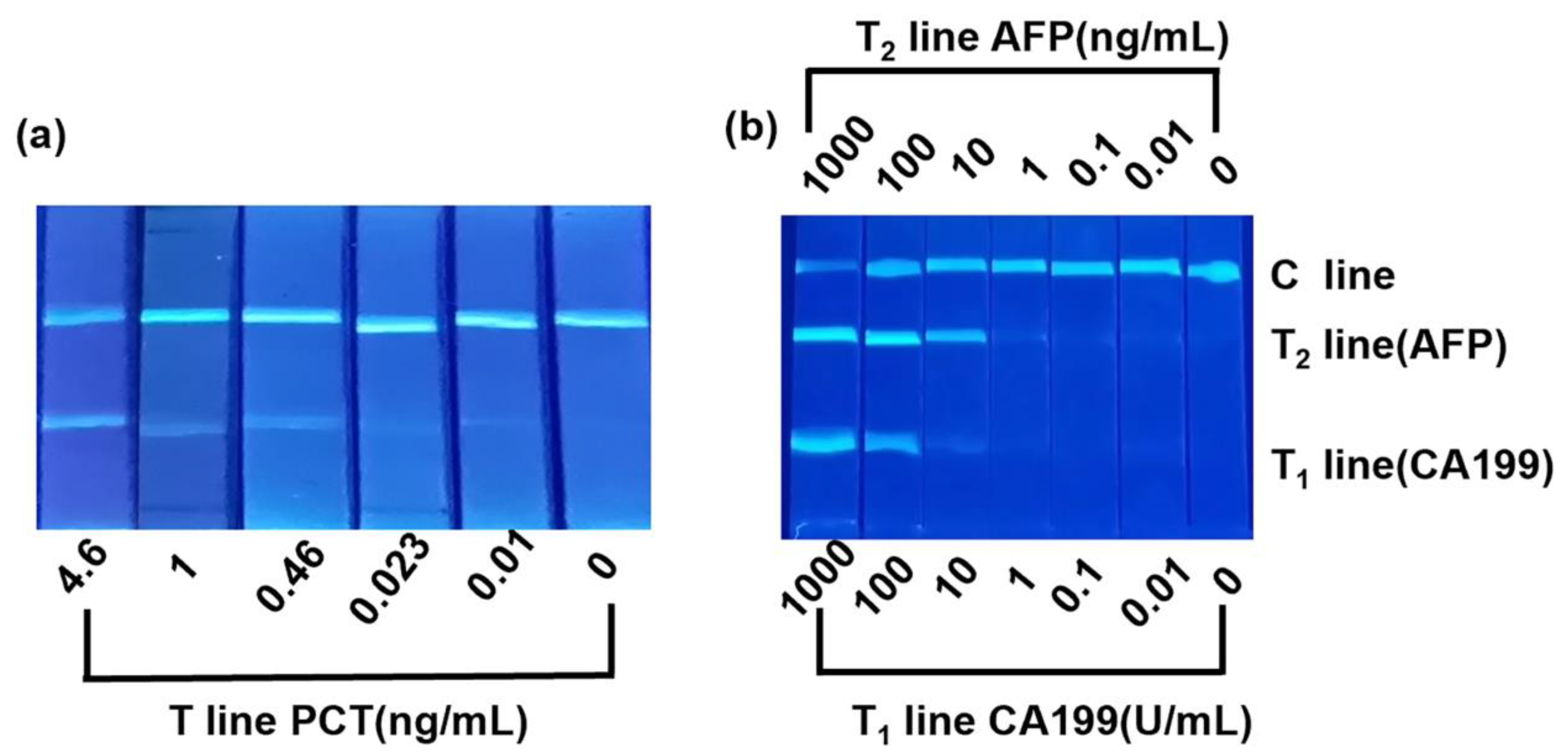 Sensors 24 00019 g004