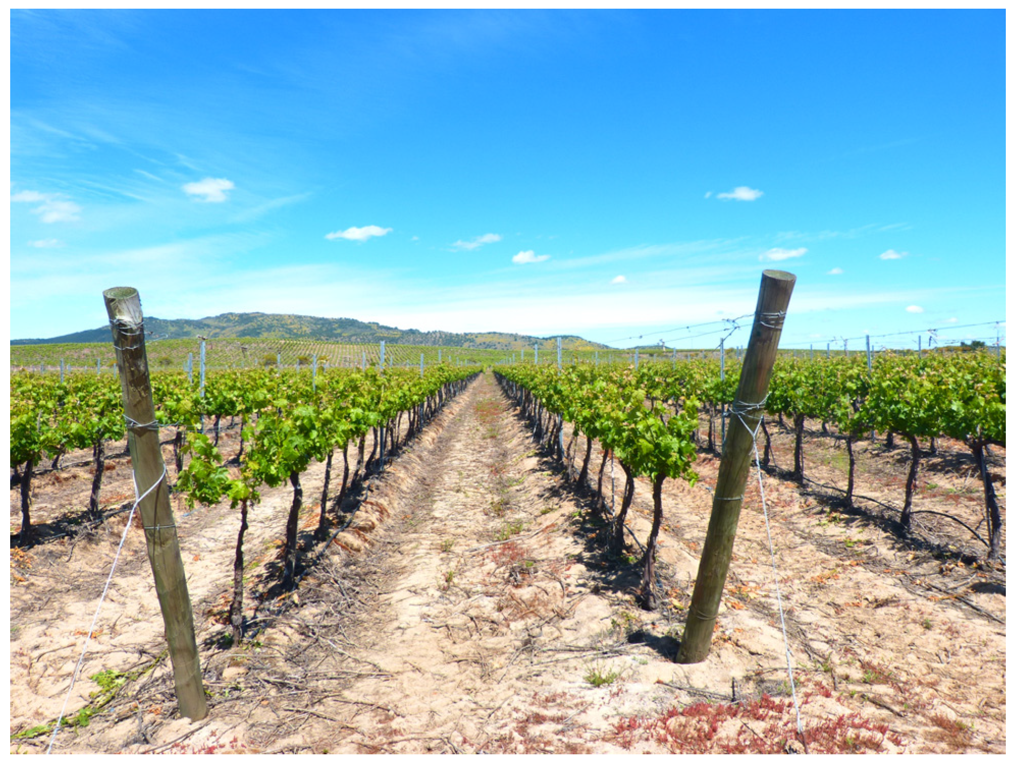 Sensors 24 00025 g001 Sensors 24 00025 g001