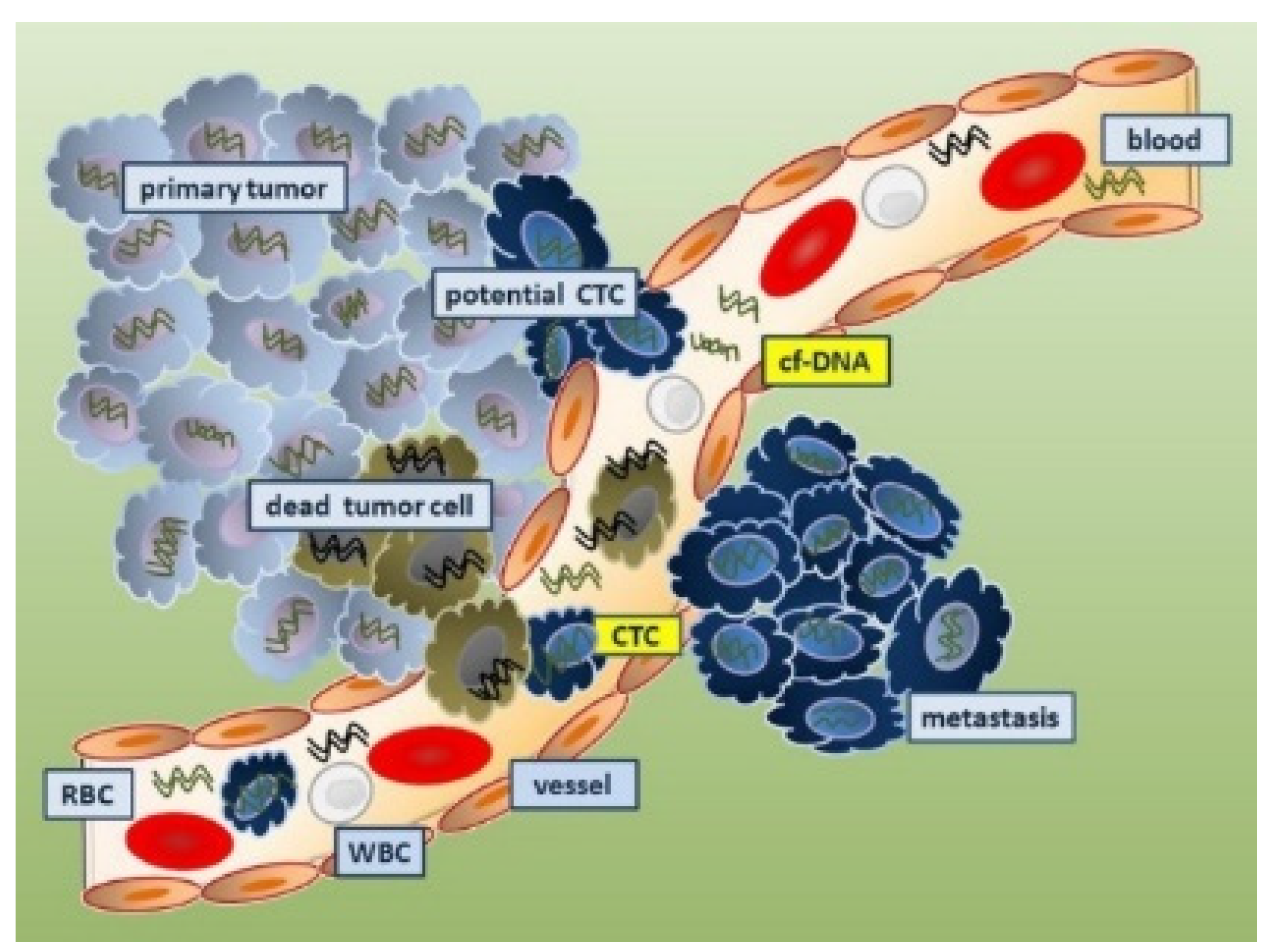 Sensors 24 00037 g005 Sensors 24 00037 g005