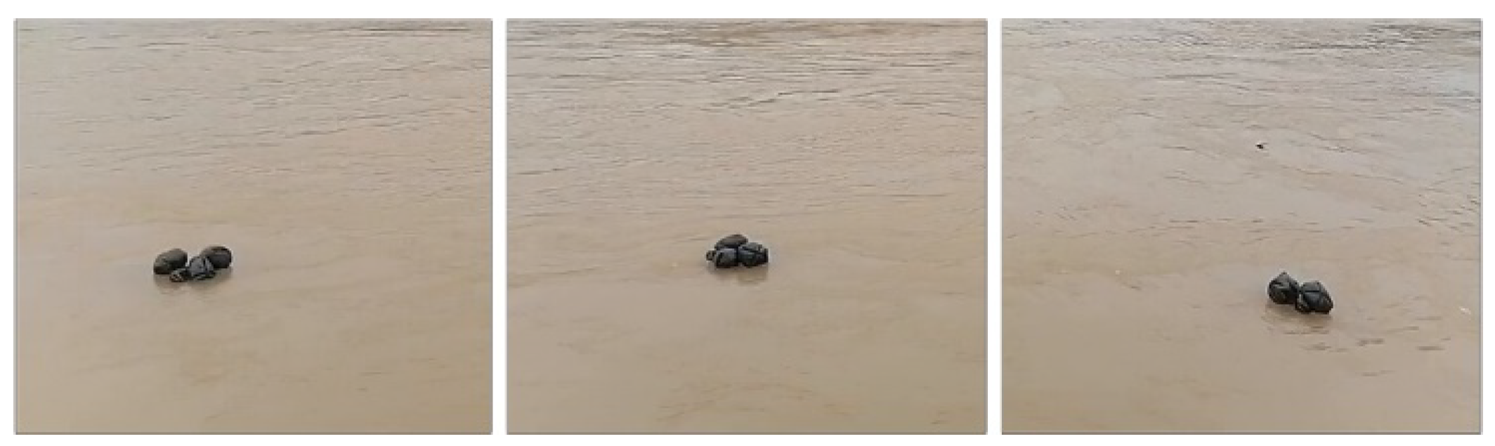 Sensors 24 00050 g004