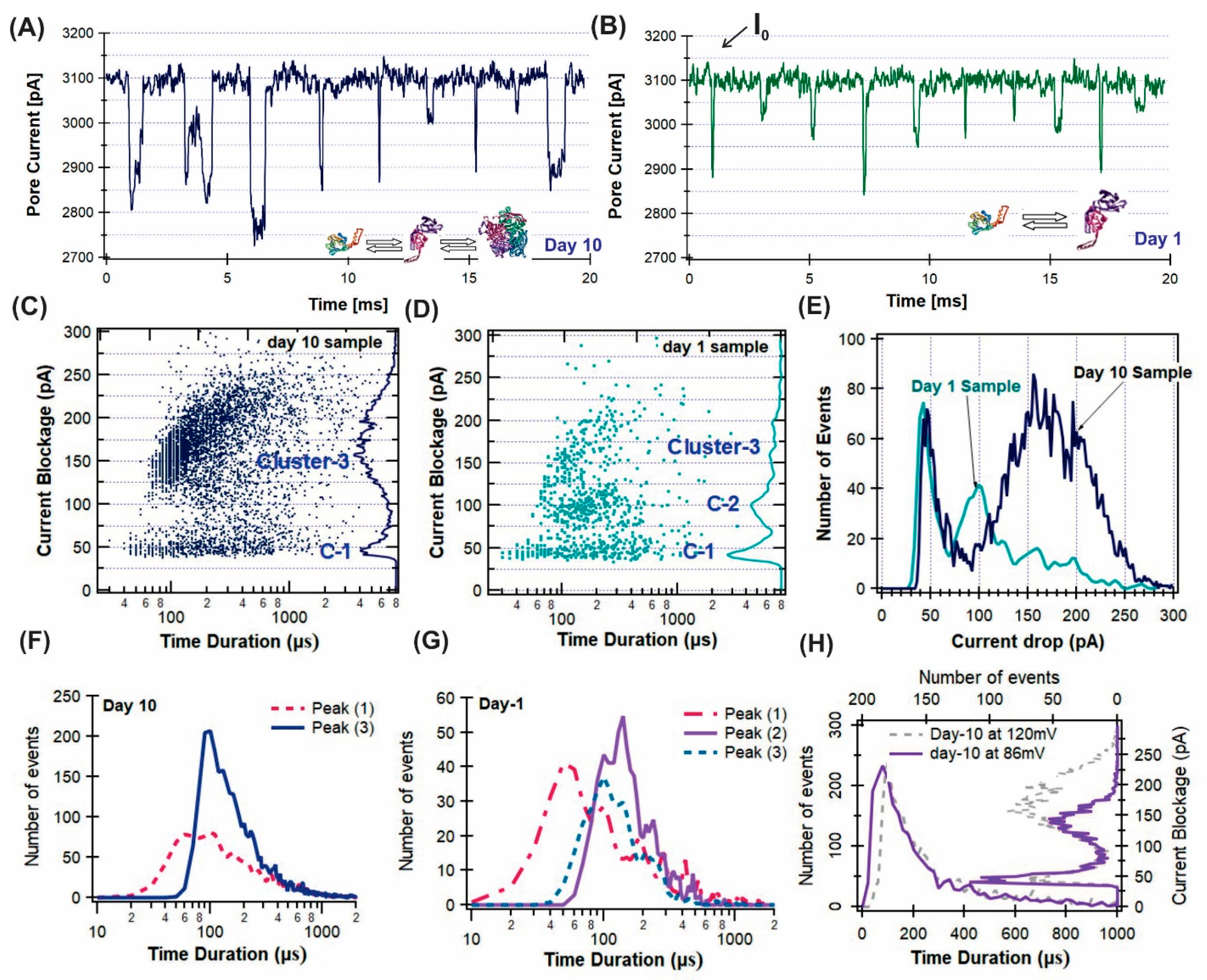 Sensors 24 00081 g002