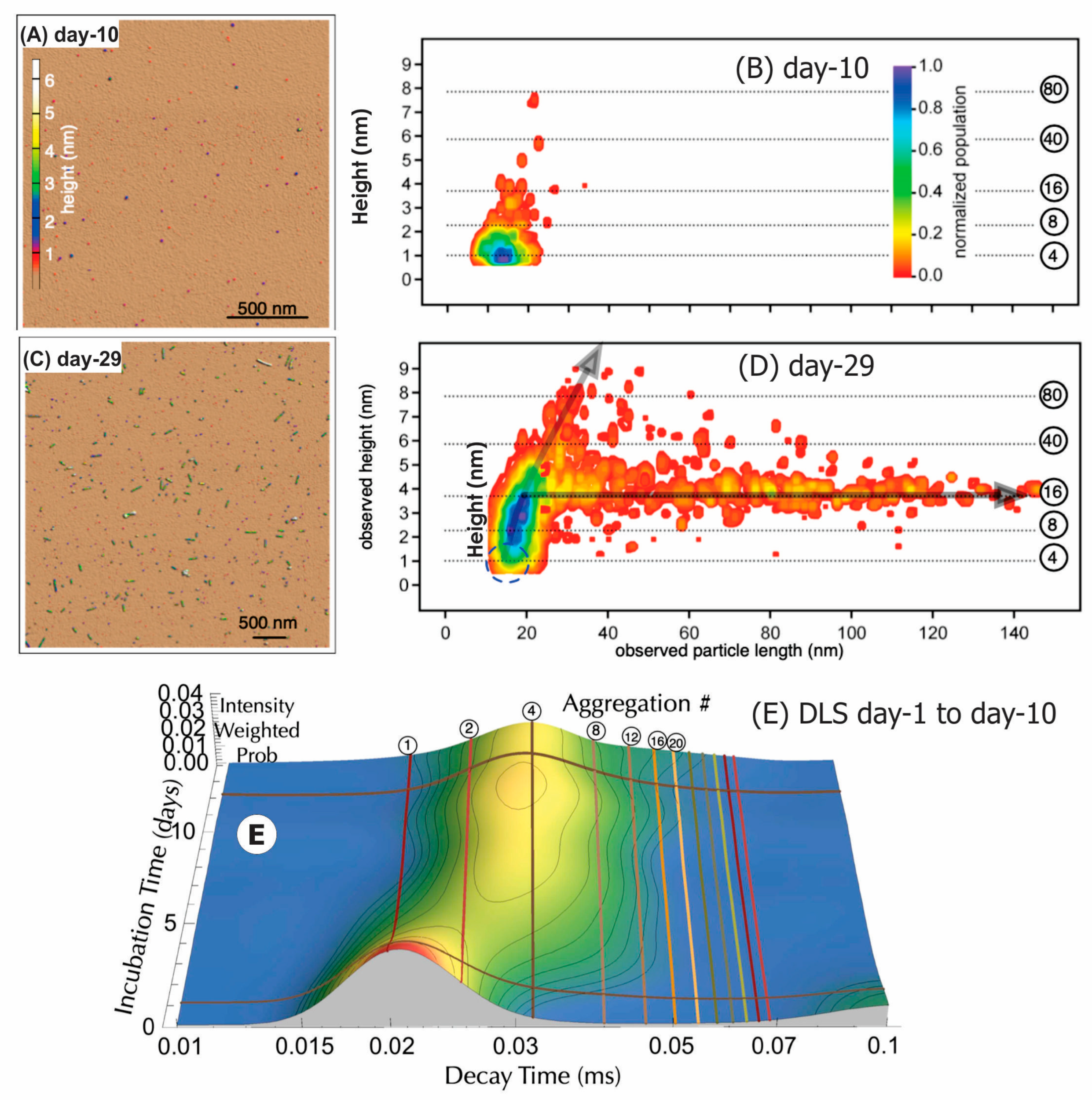 Sensors 24 00081 g004