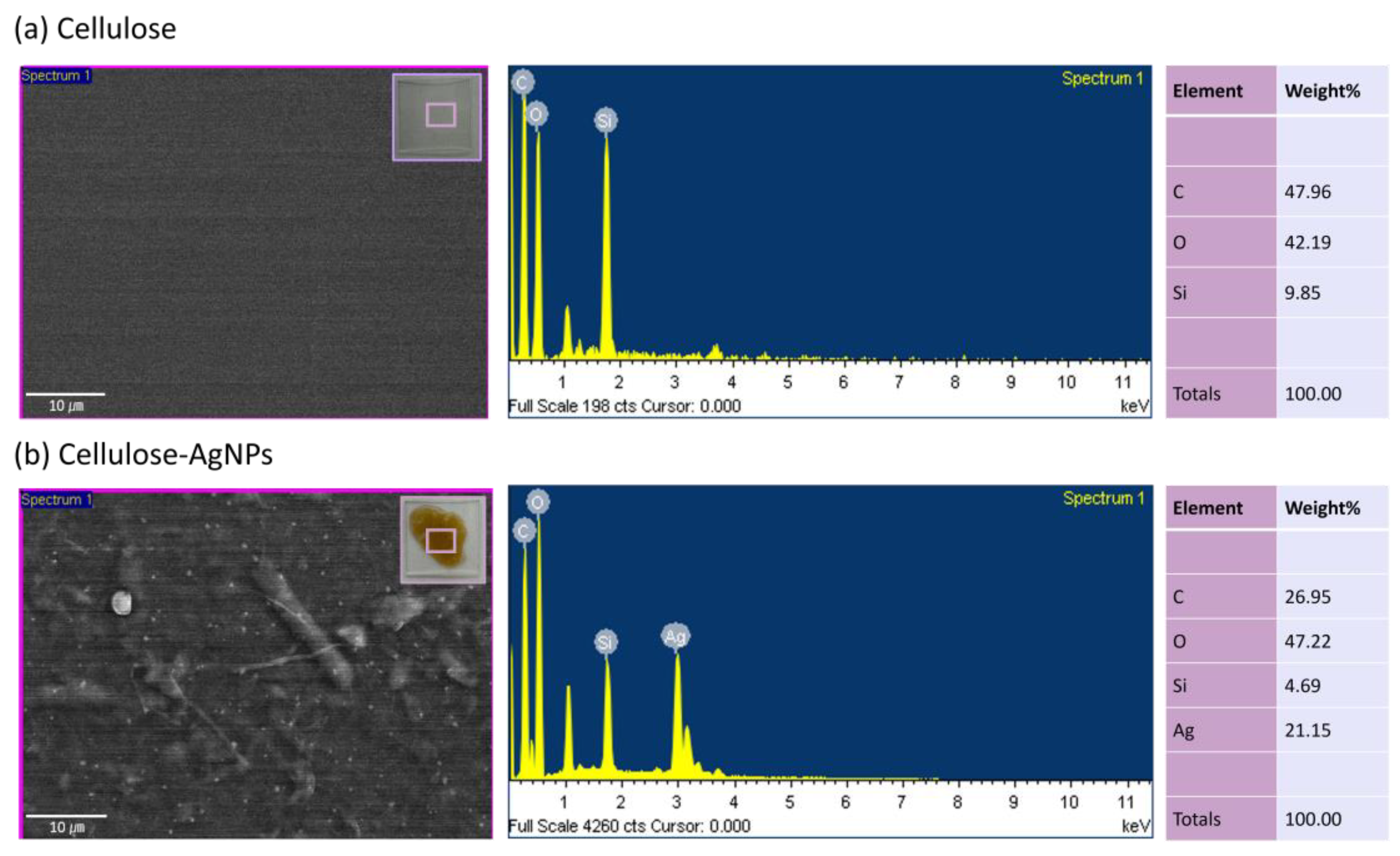 Sensors 24 00104 g005
