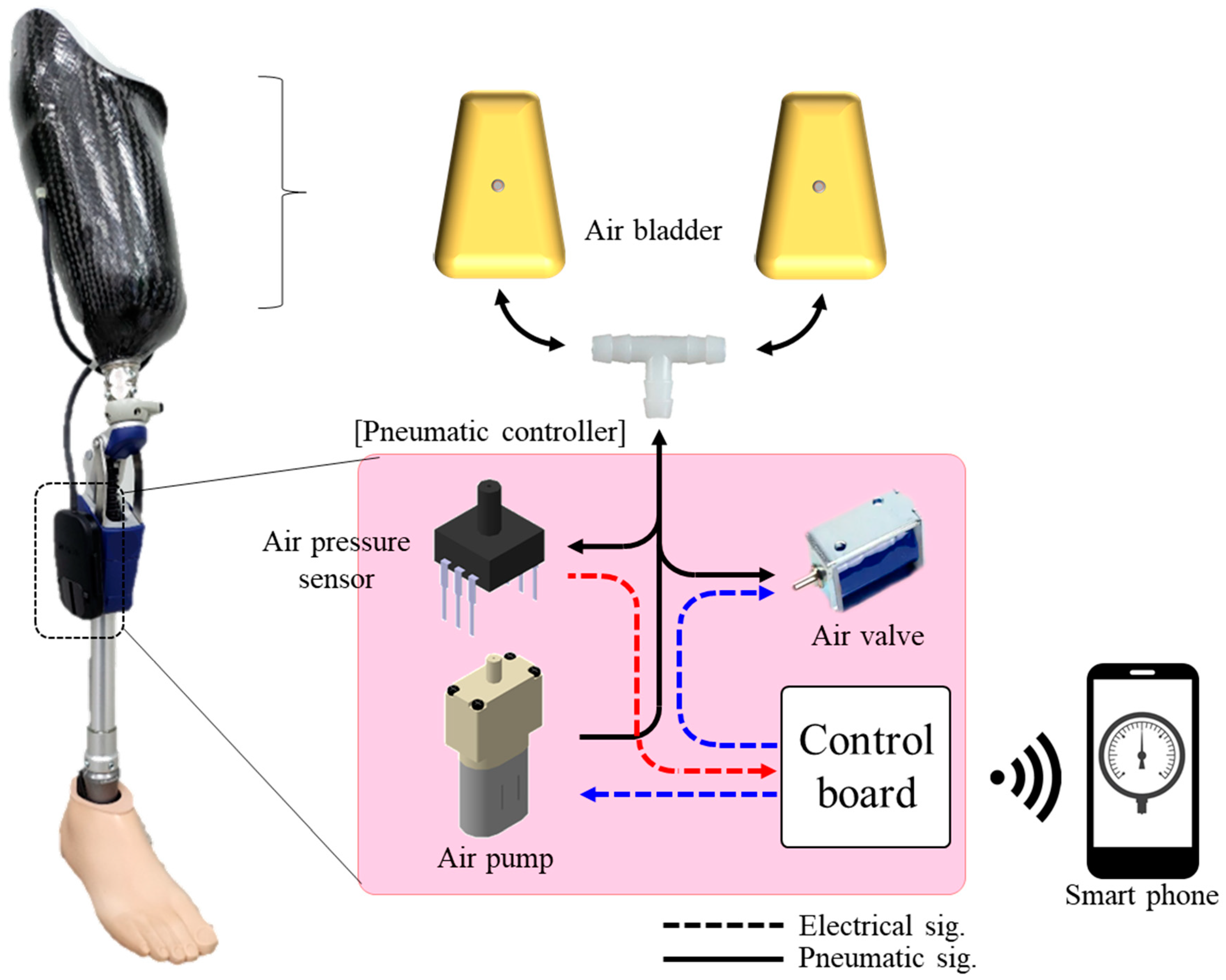 Sensors 24 00133 g002