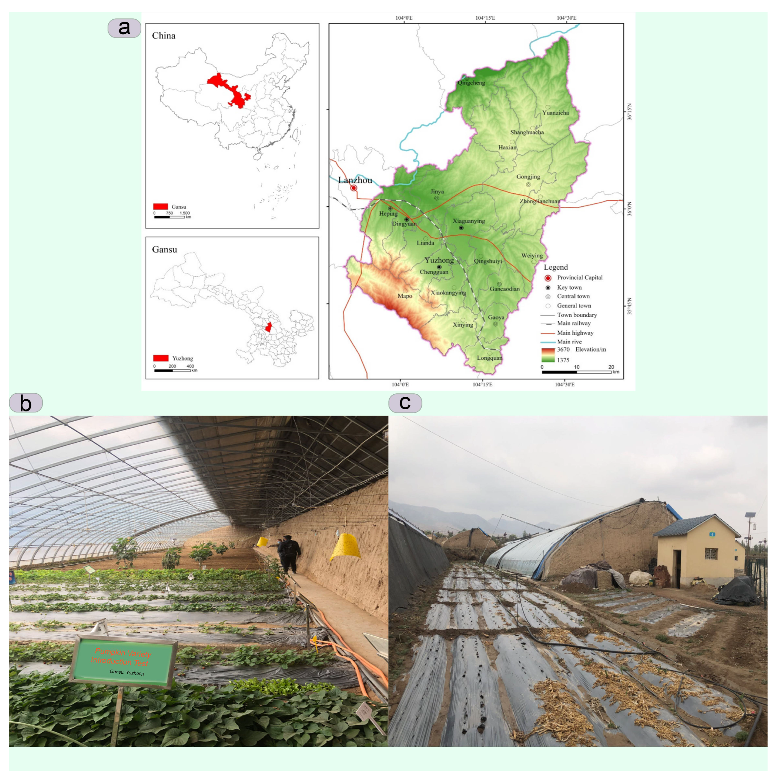 Sensors 24 00143 g001