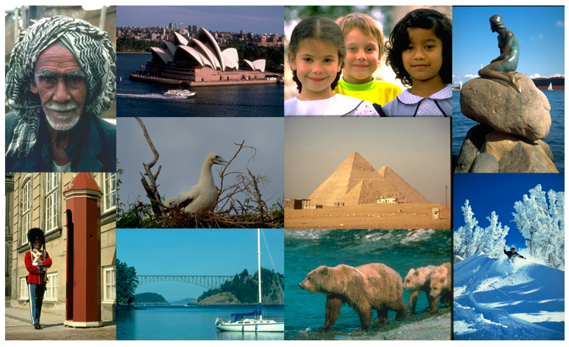 Sensors 24 00168 g005