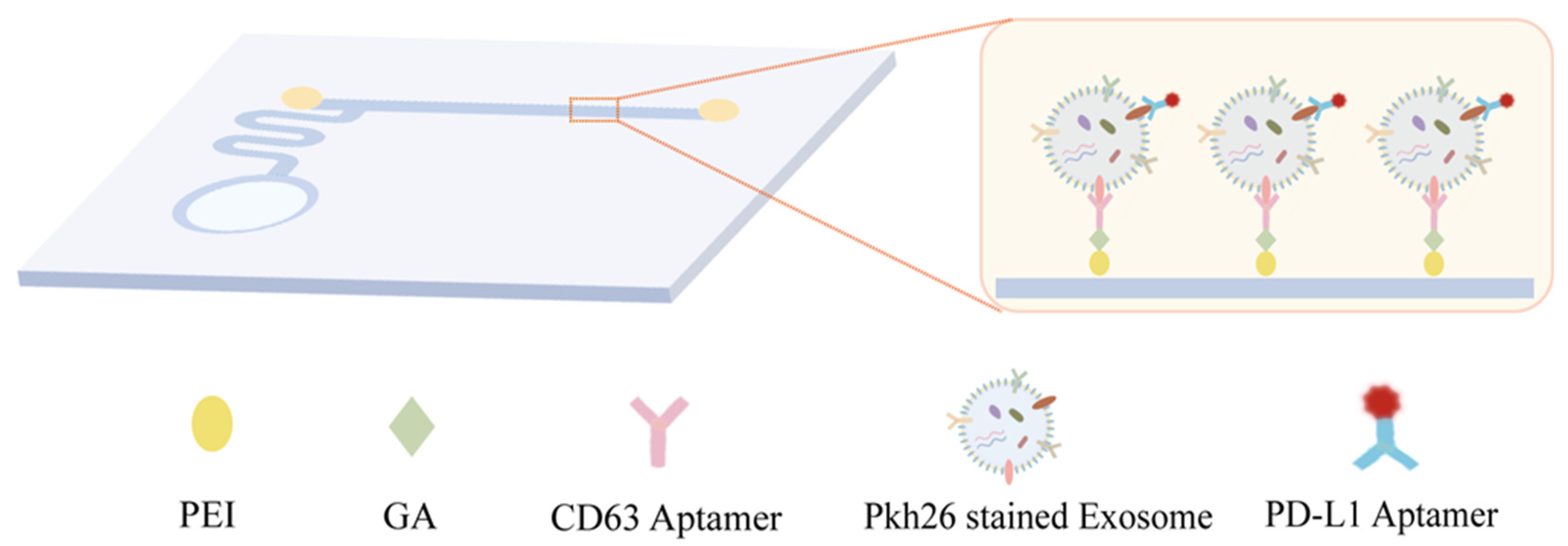 Sensors 24 00173 g001