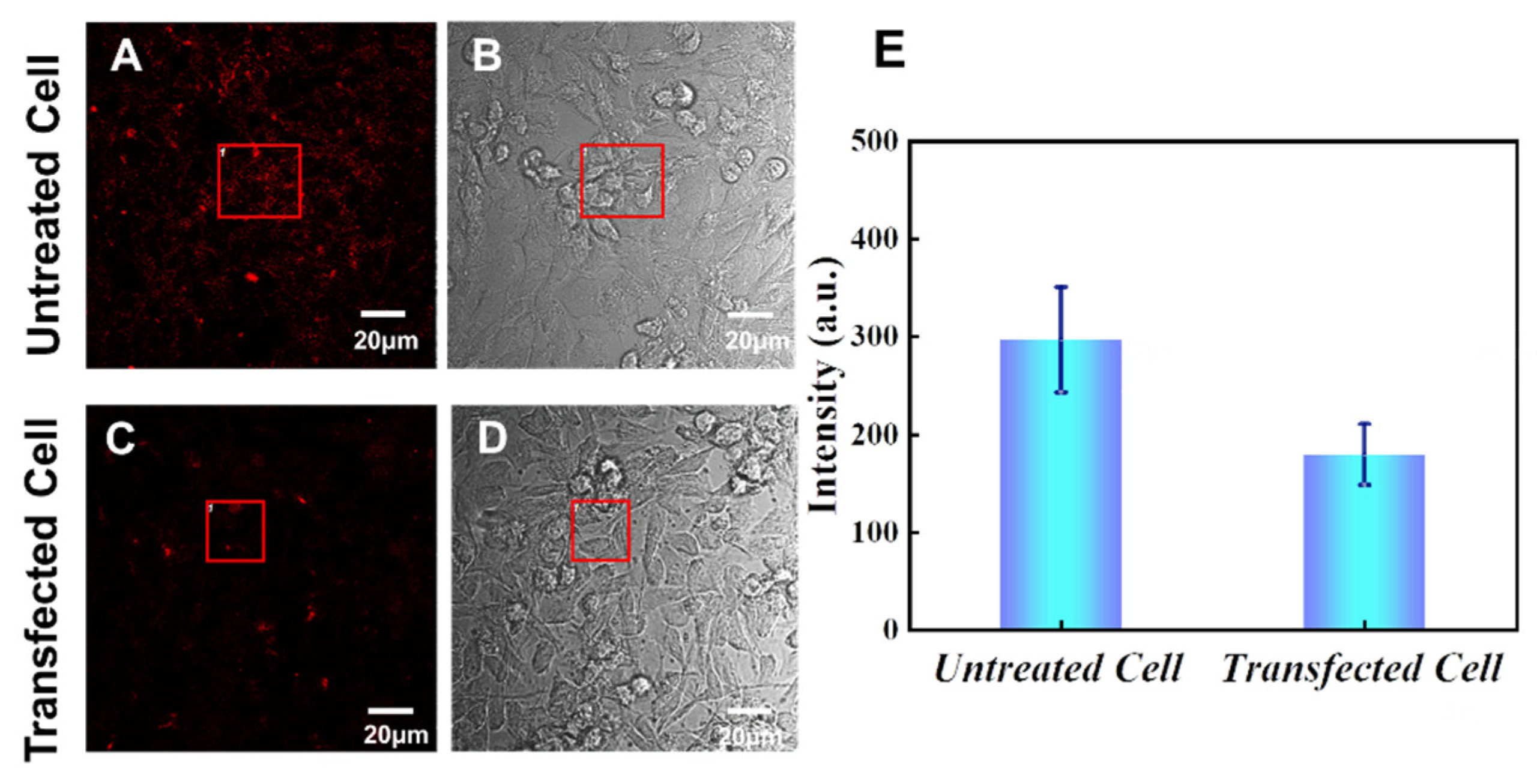 Sensors 24 00173 g002