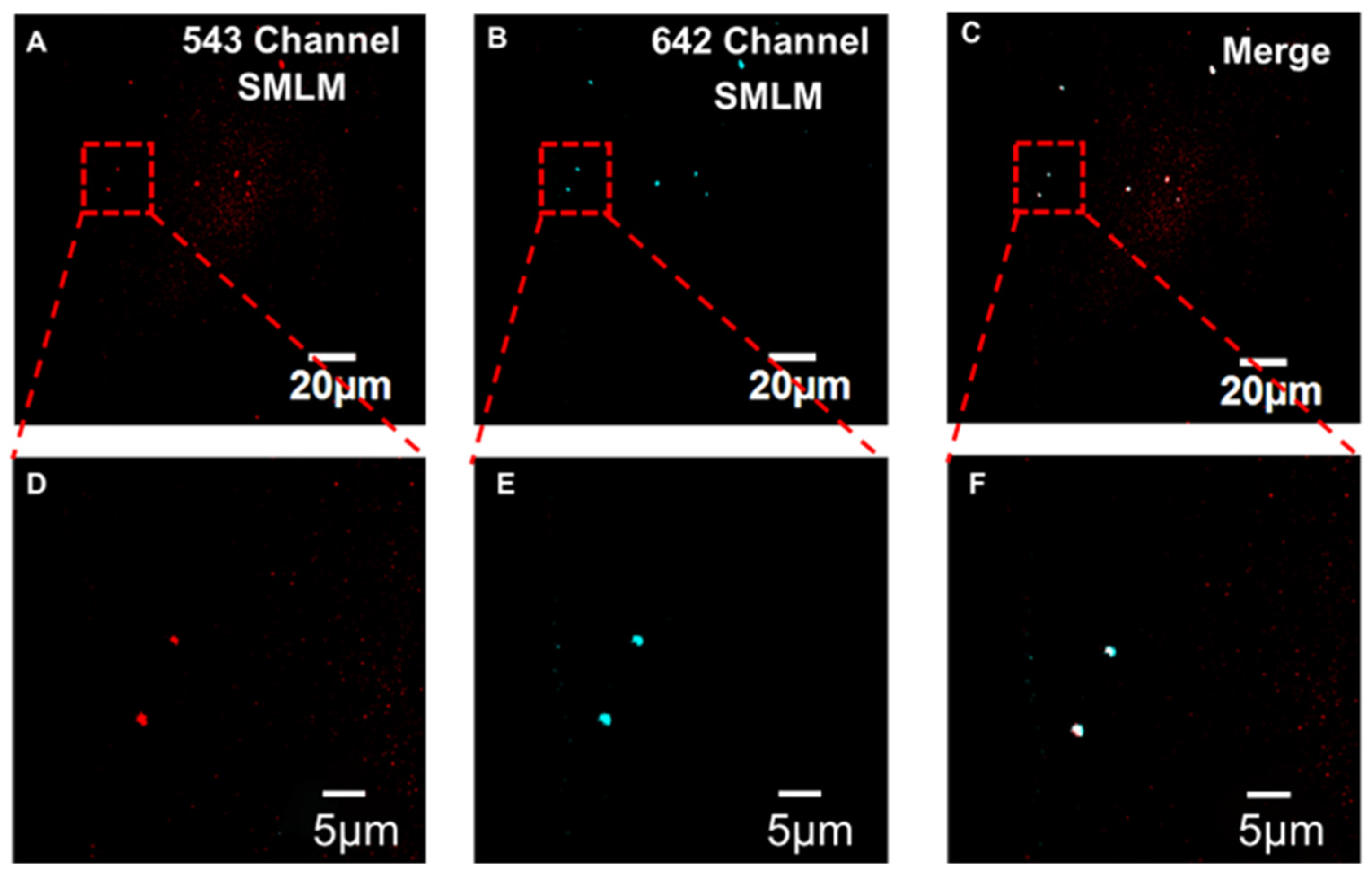 Sensors 24 00173 g003