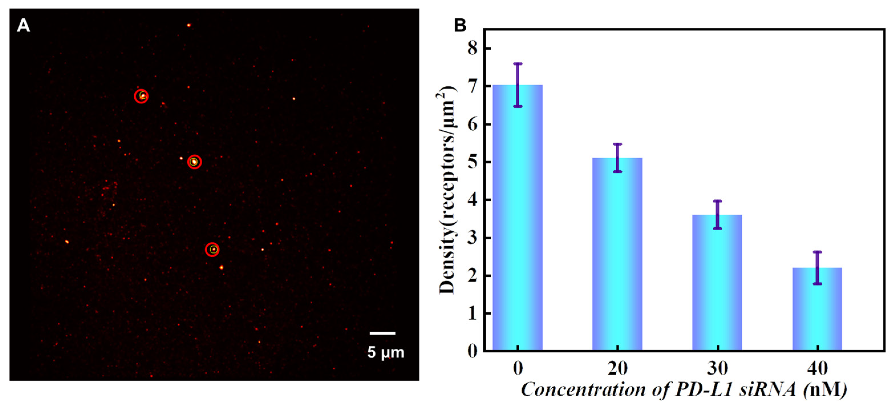 Sensors 24 00173 g008