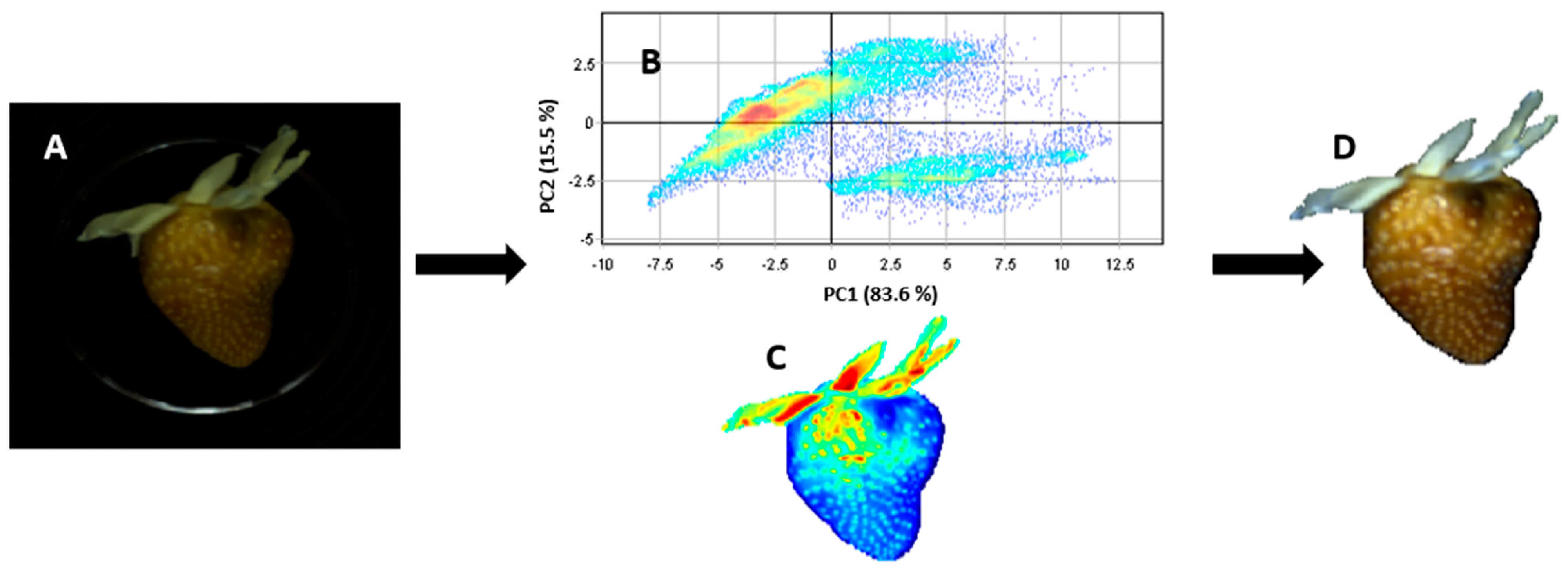 Sensors 24 00174 g004 Sensors 24 00174 g004