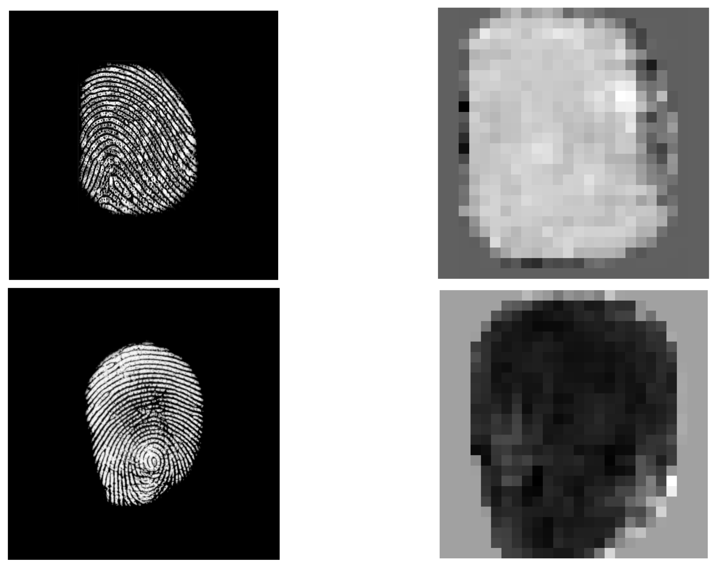 Sensors 24 00187 g005