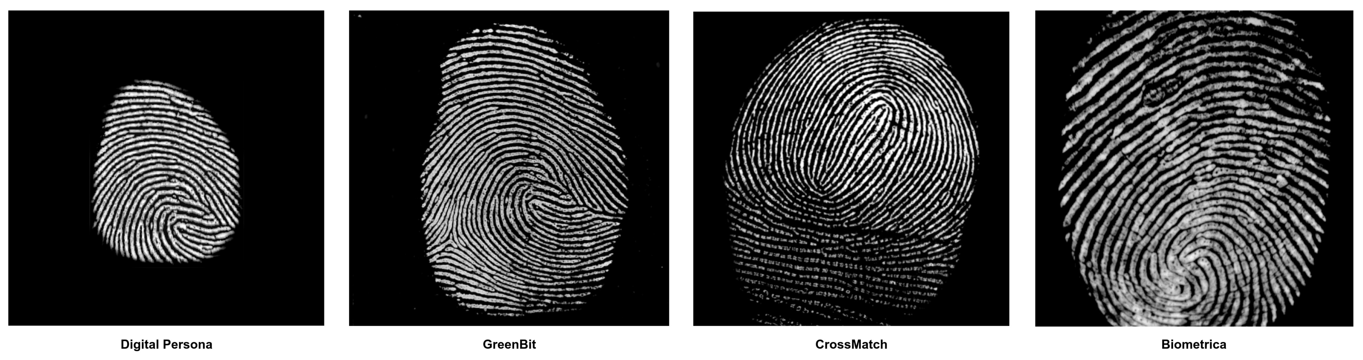 Enhancing Ensemble Learning Using Explainable CNN for Spoof Fingerprints