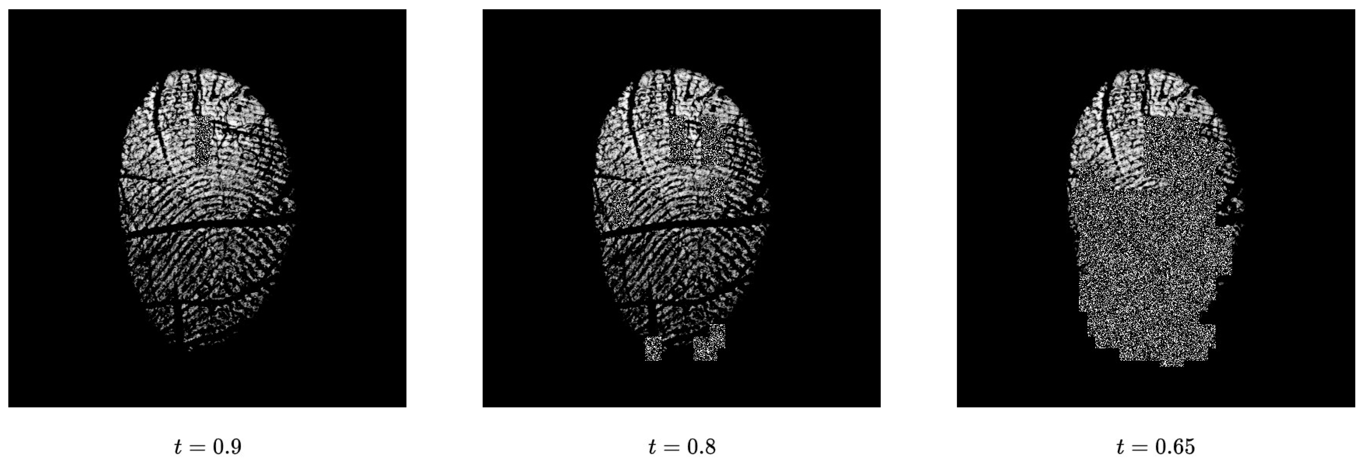 Enhancing Ensemble Learning Using Explainable CNN for Spoof Fingerprints