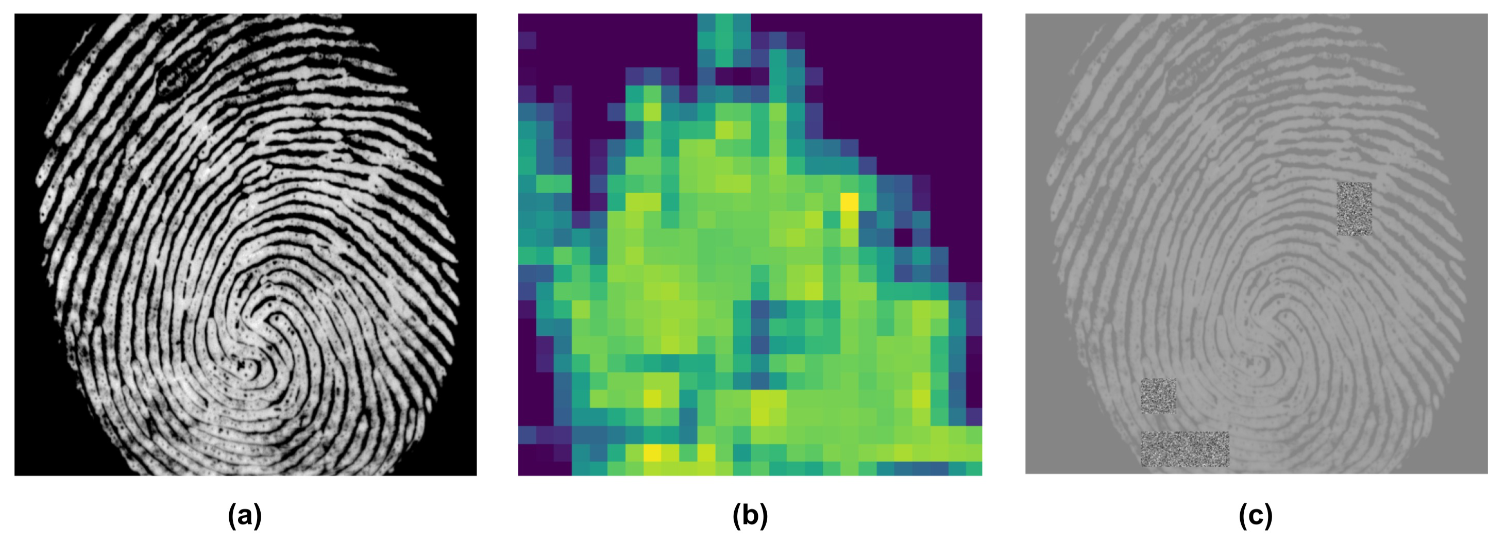 Enhancing Ensemble Learning Using Explainable CNN for Spoof Fingerprints