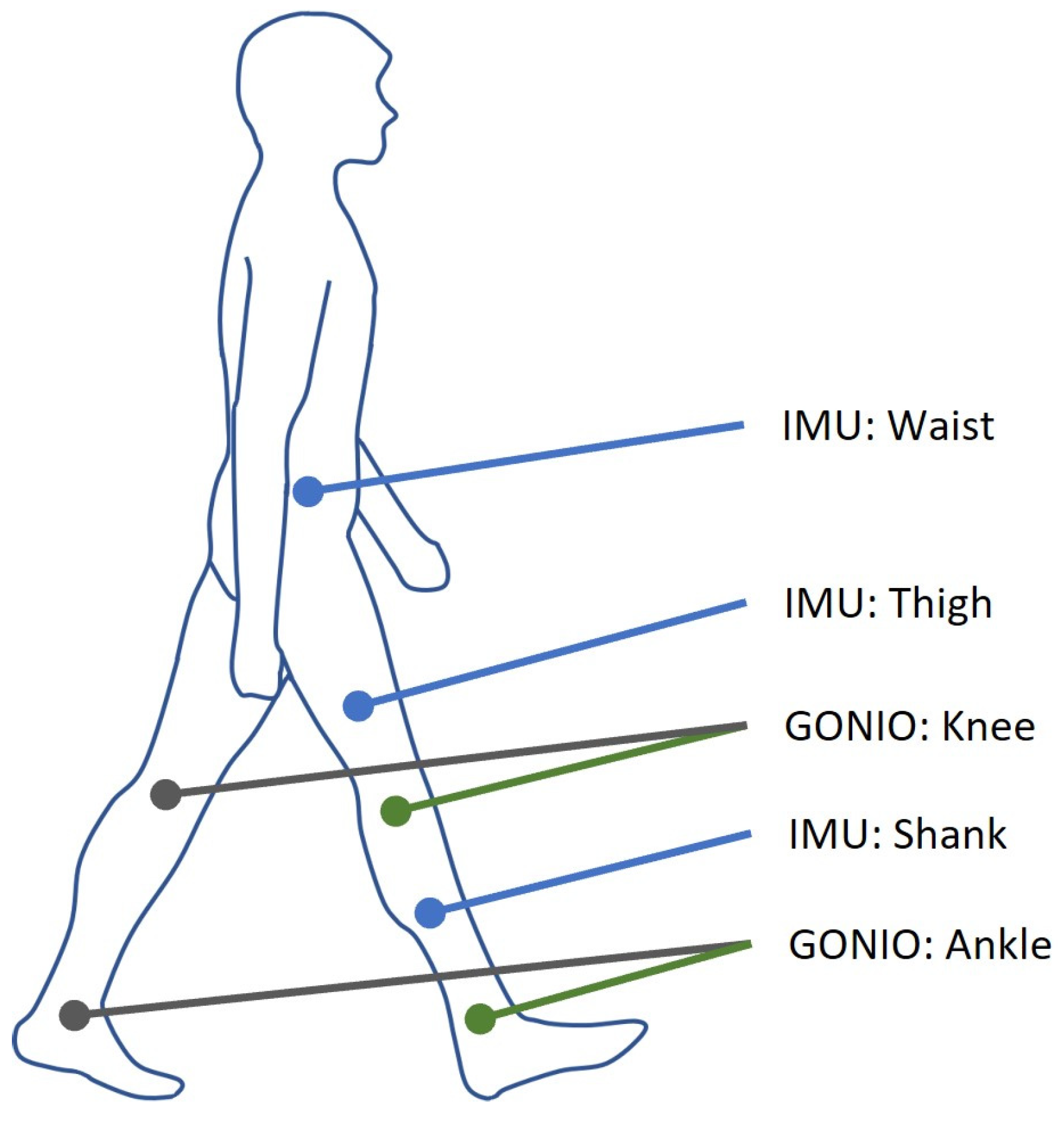 Sensors 24 00211 g001 Sensors 24 00211 g001