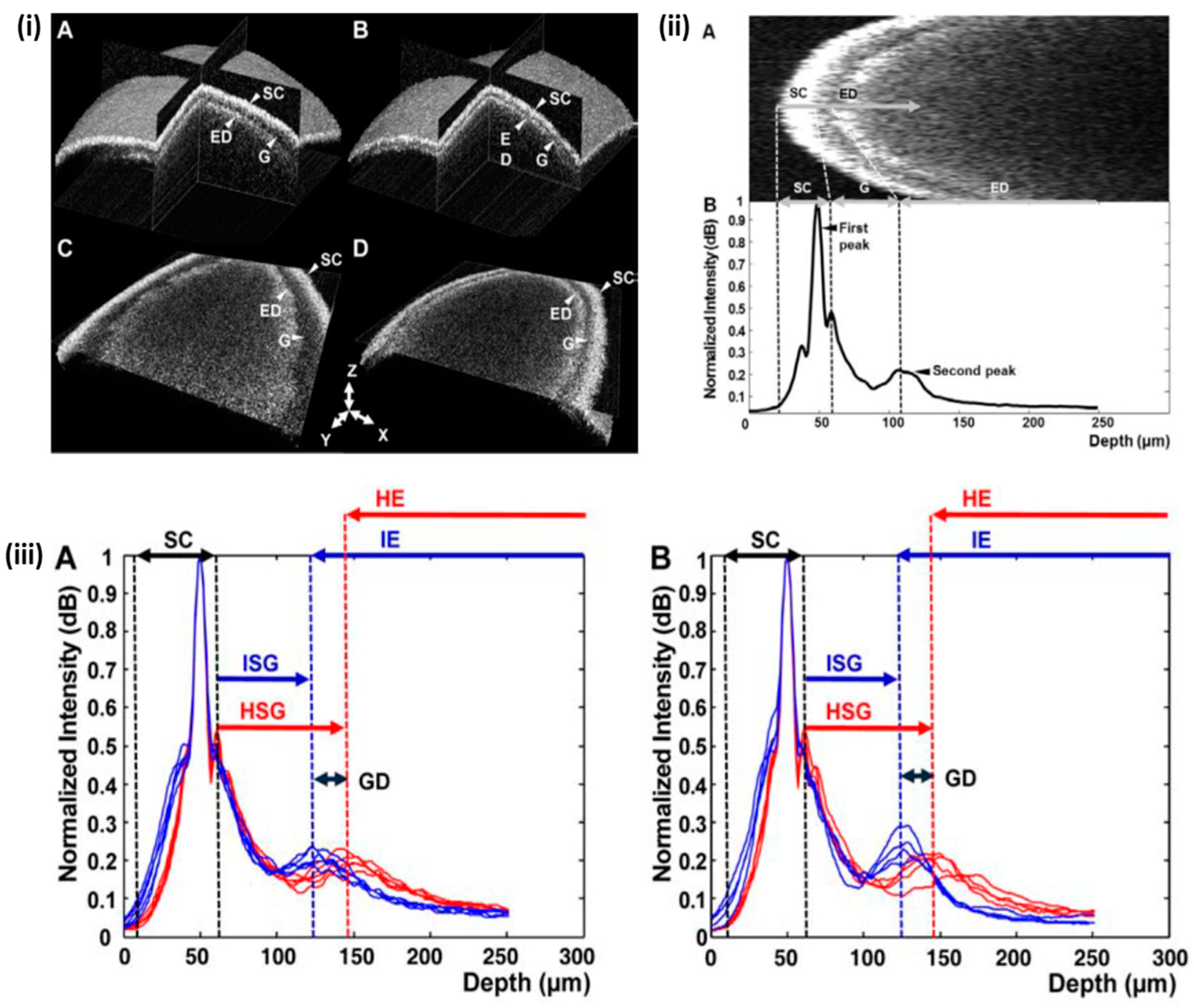 Sensors 24 00219 g003