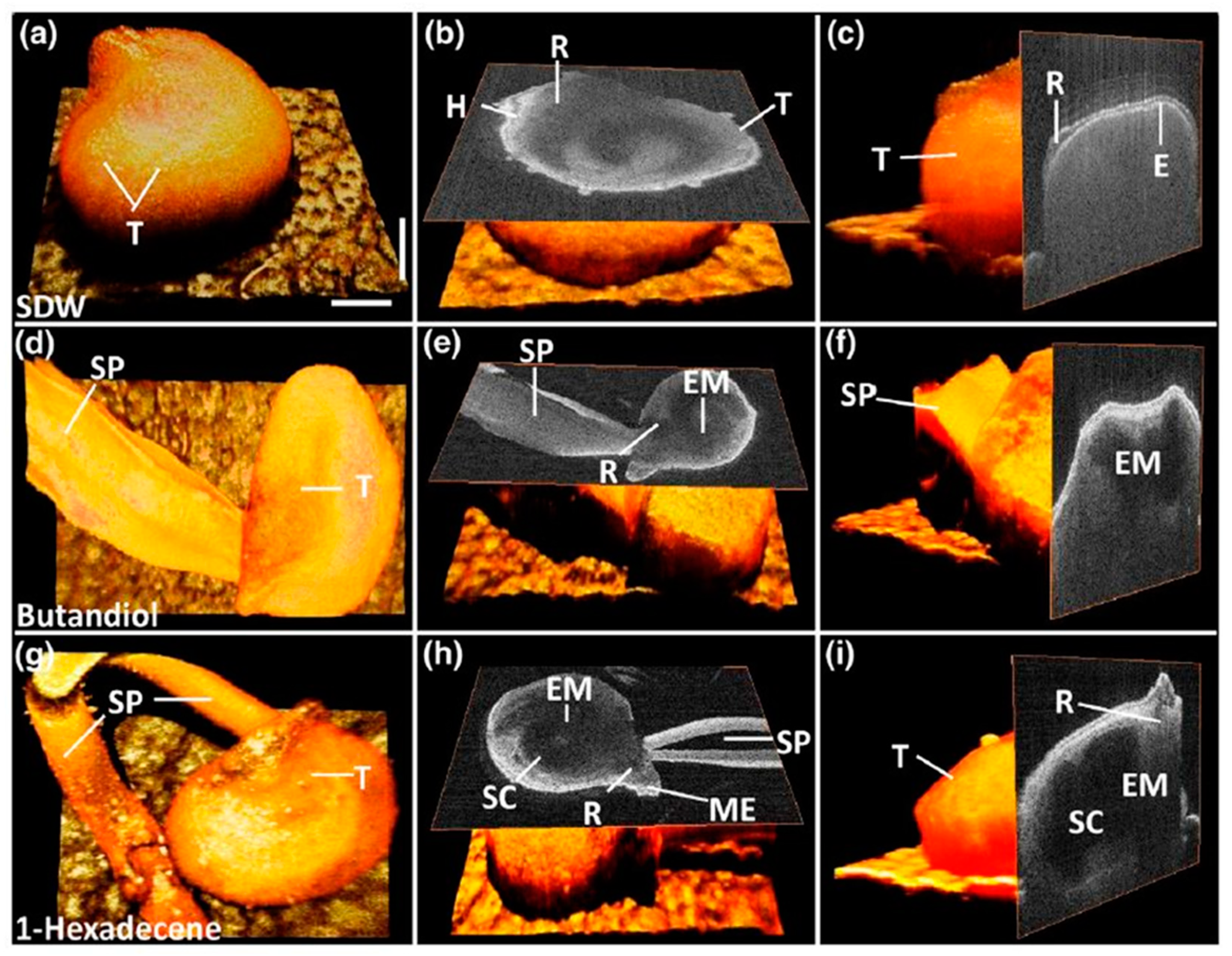 Sensors 24 00219 g004